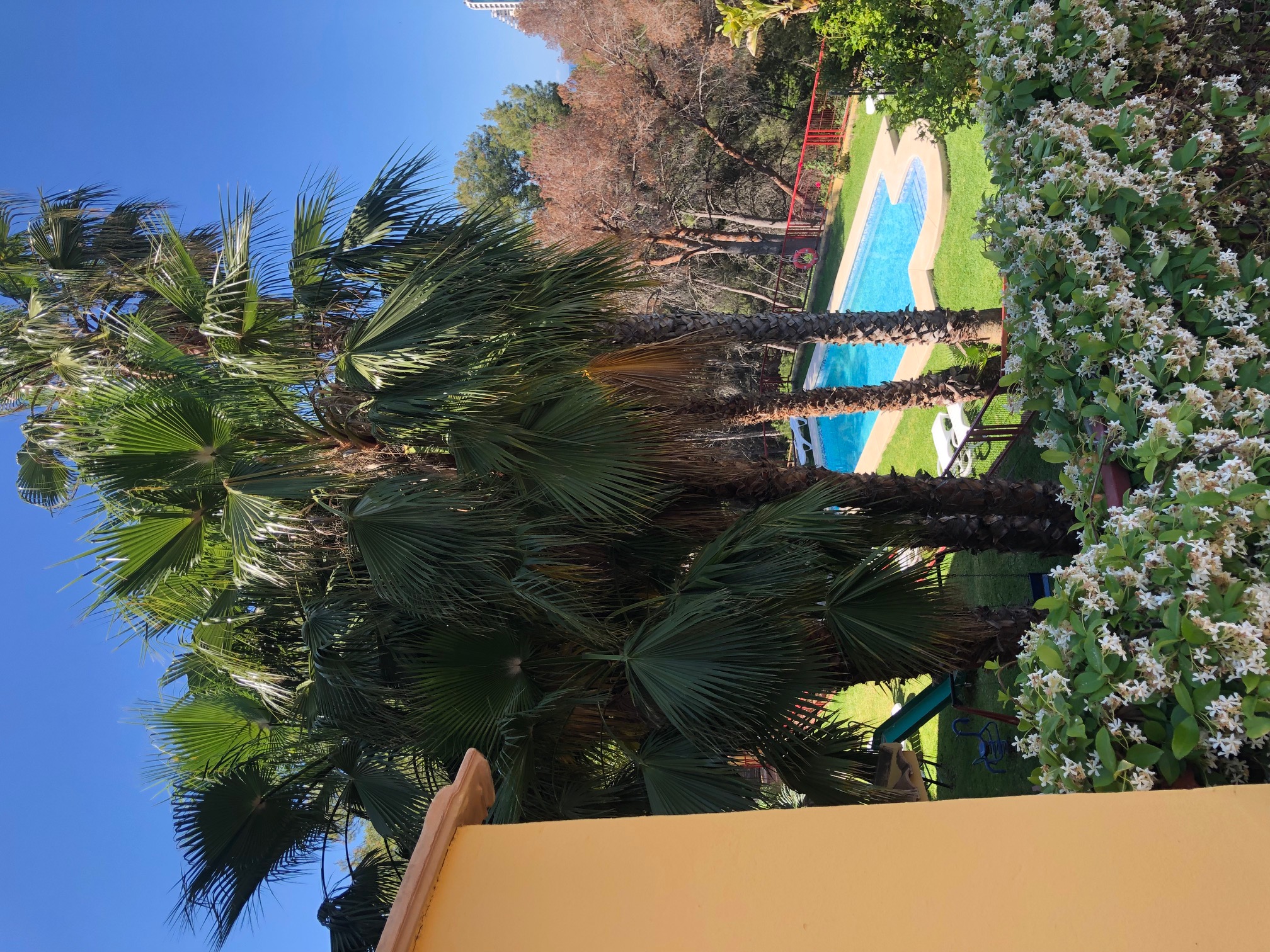 Apartamentos nicaragua, Comunidad