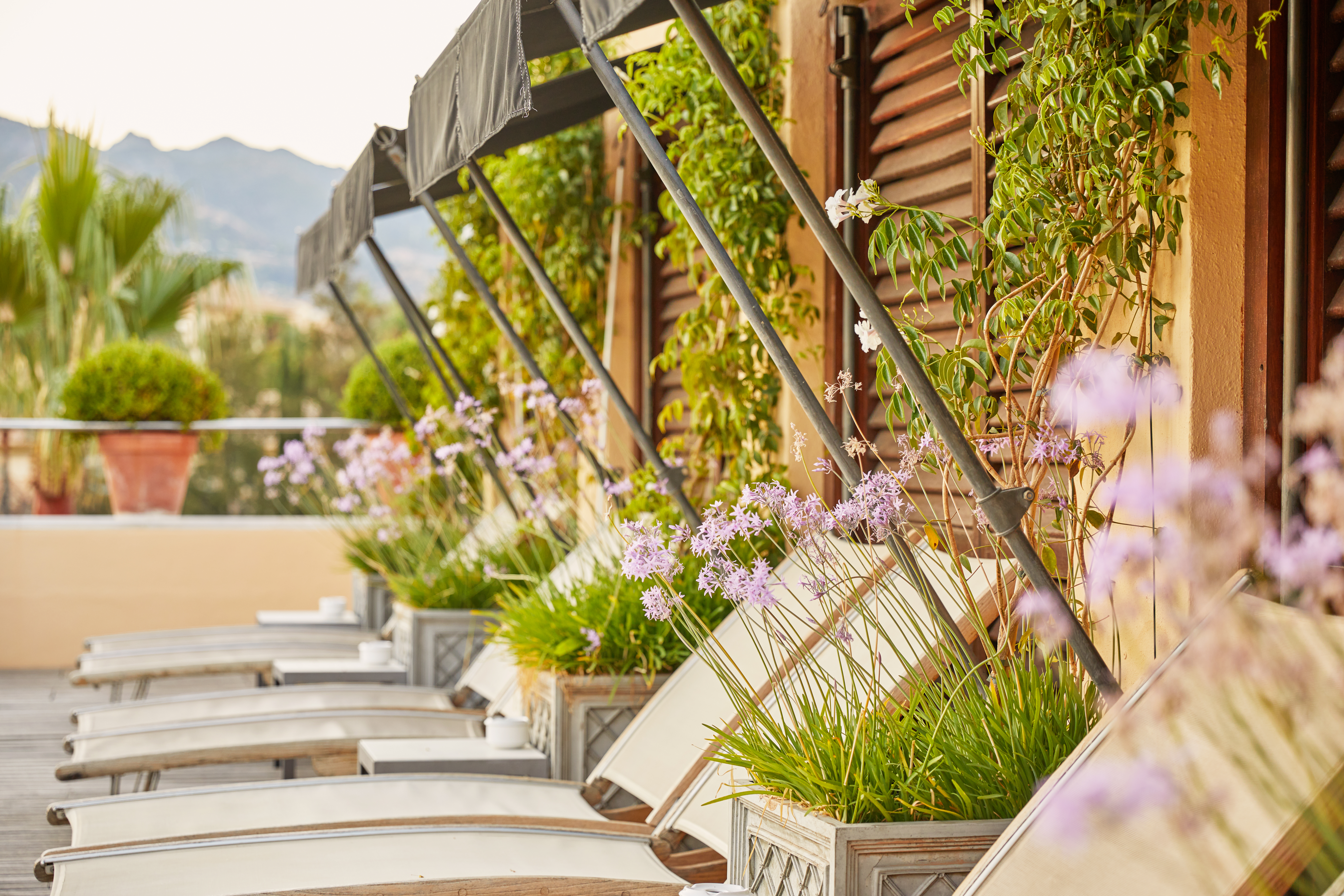 Rio real golf & hotel, Marbella