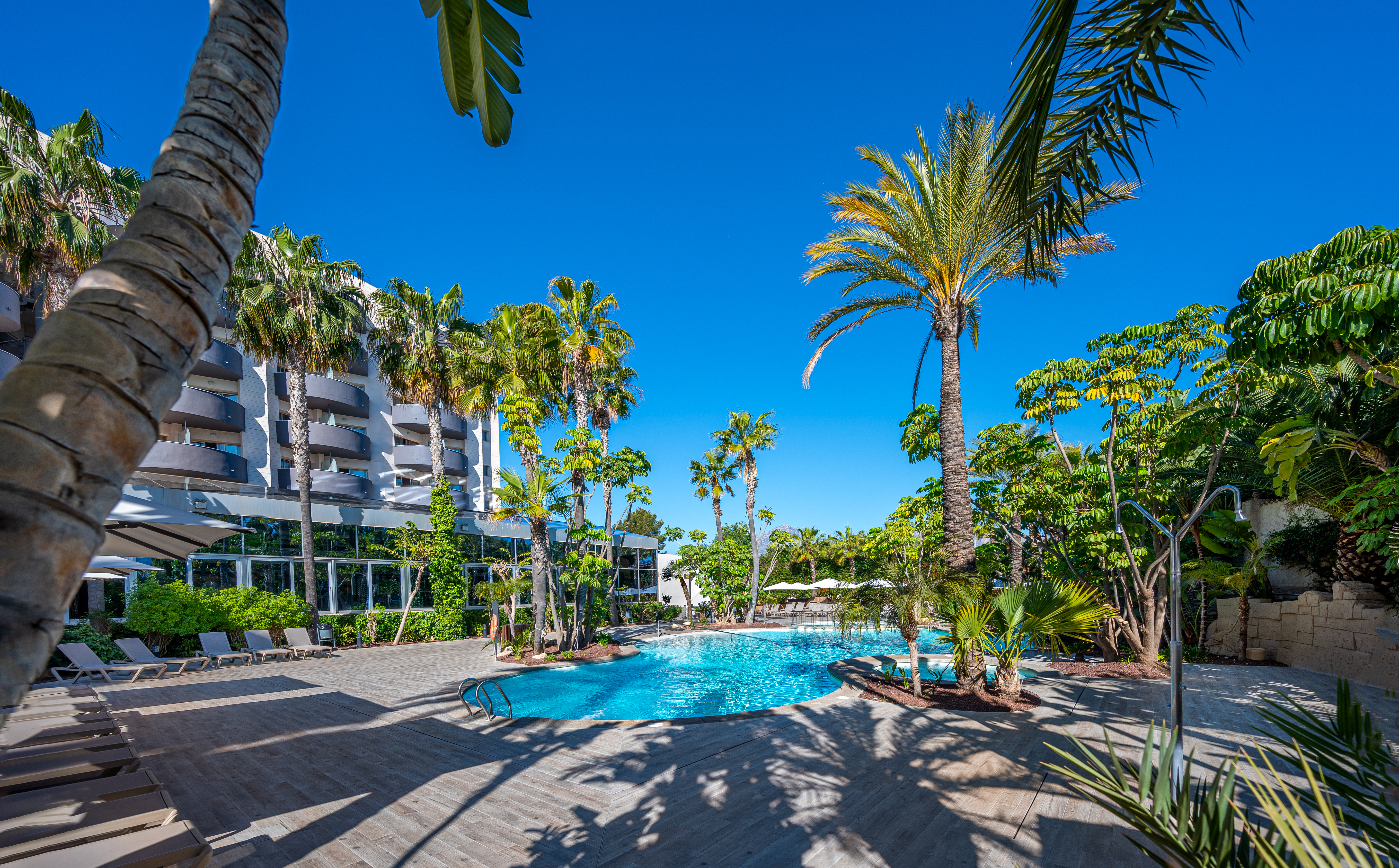 Albir playa hotel & spa, L'Alfàs del Pi