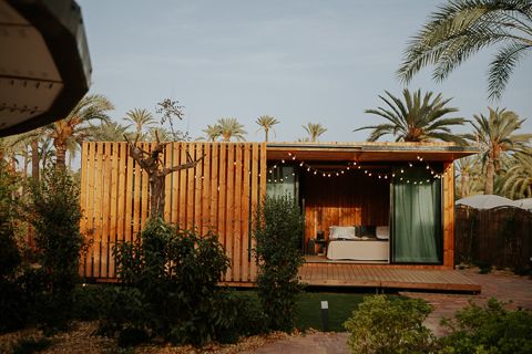 Hort de nal, Elche