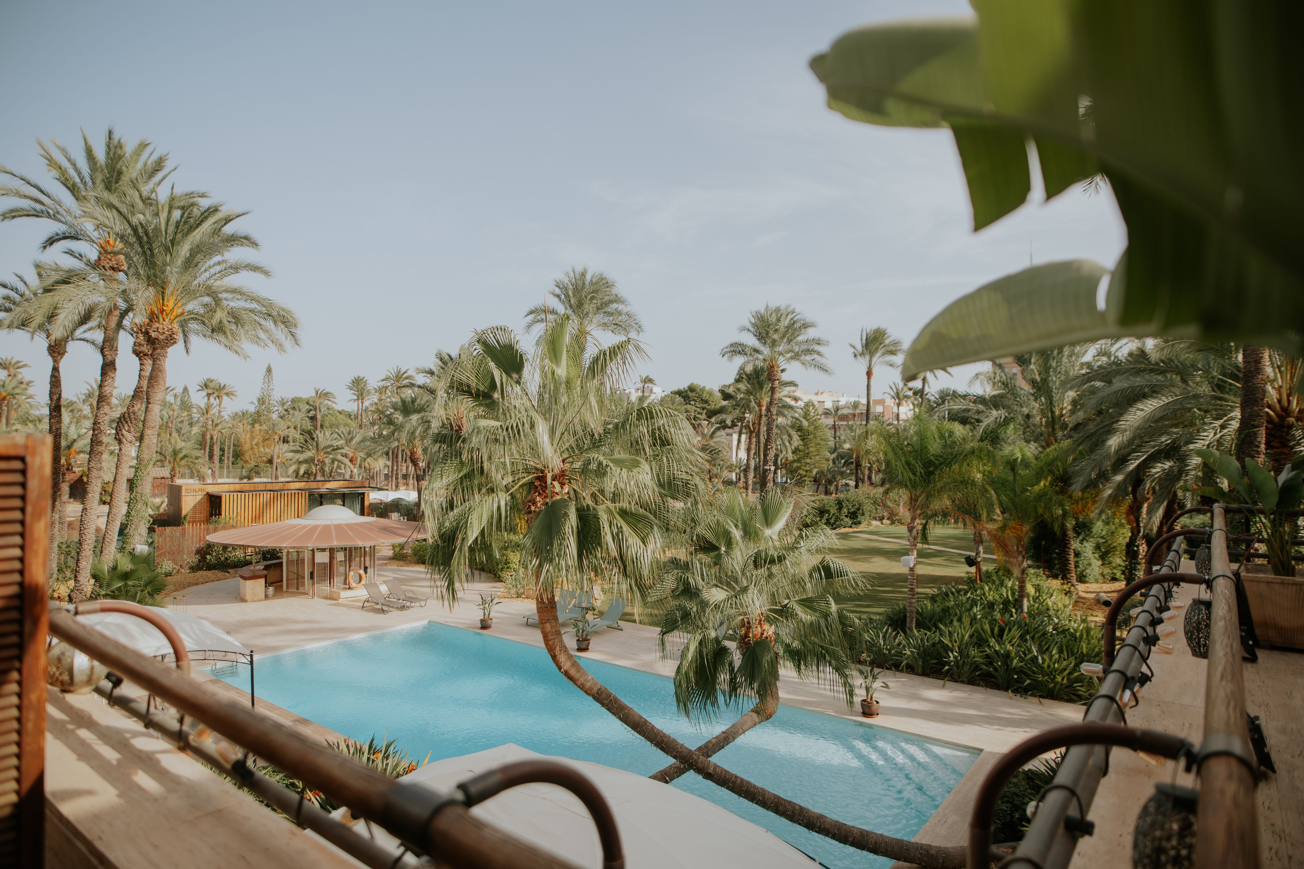 Hort de nal, Elche