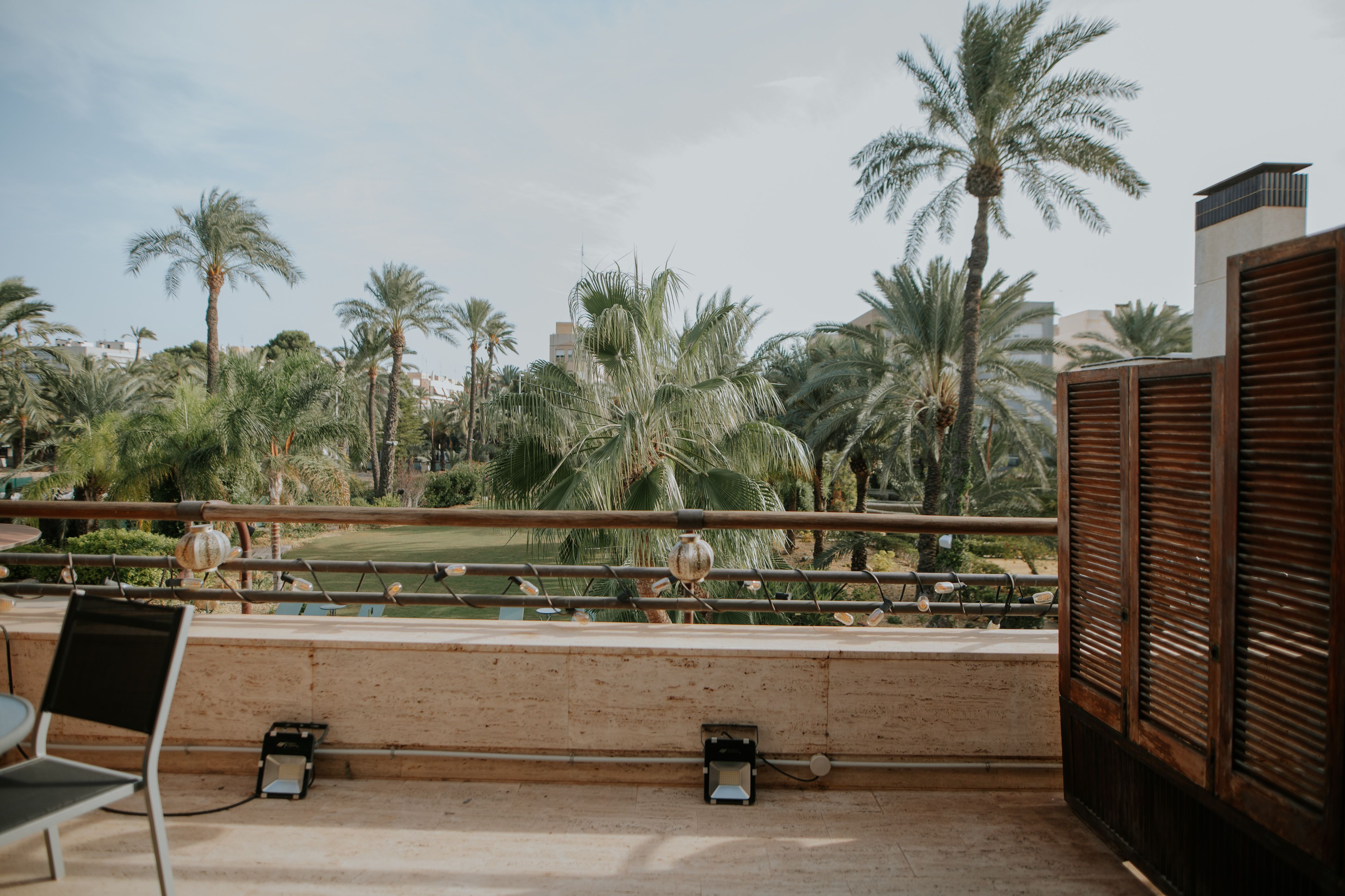 Hort de nal, Elche