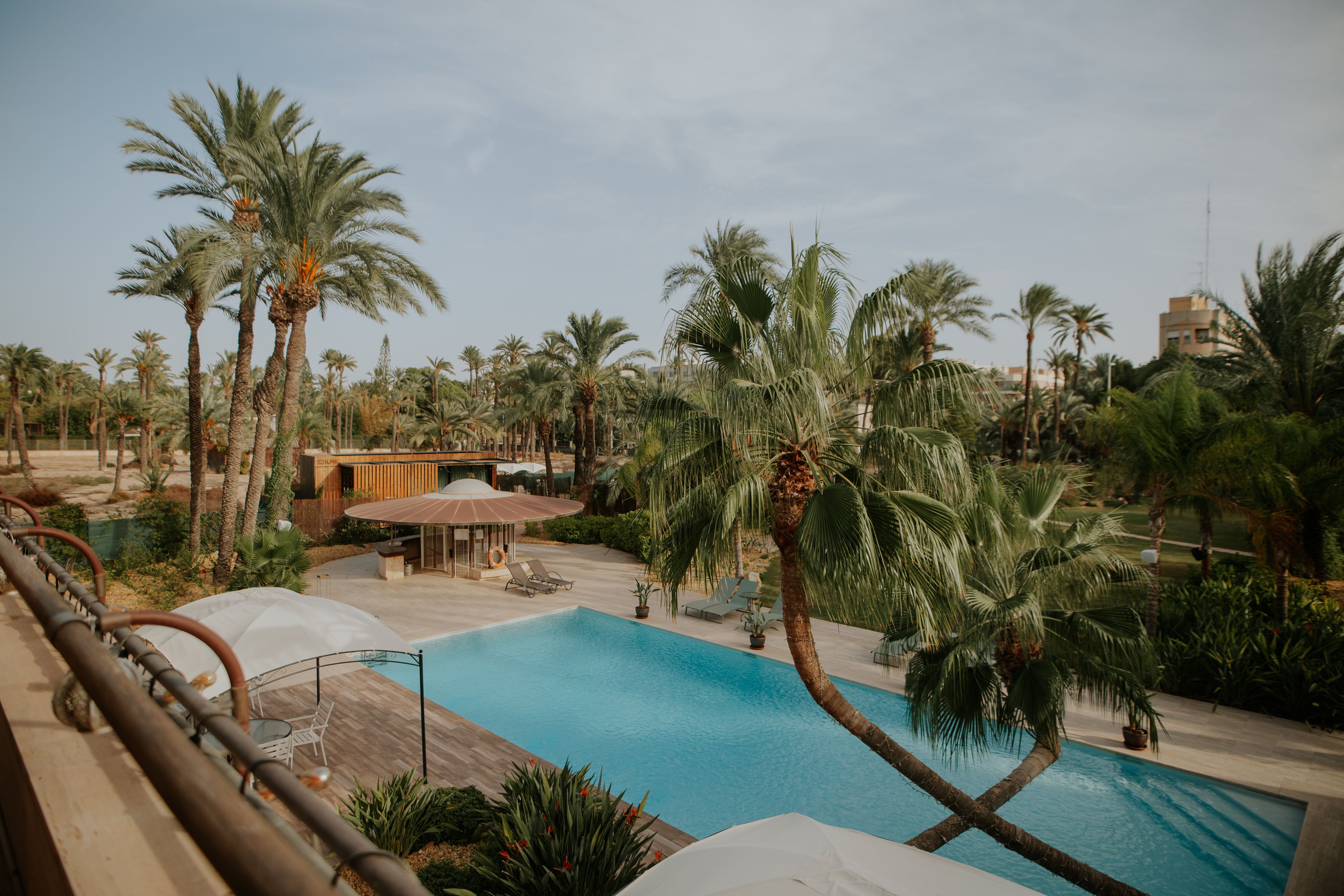 Hort de nal, Elche