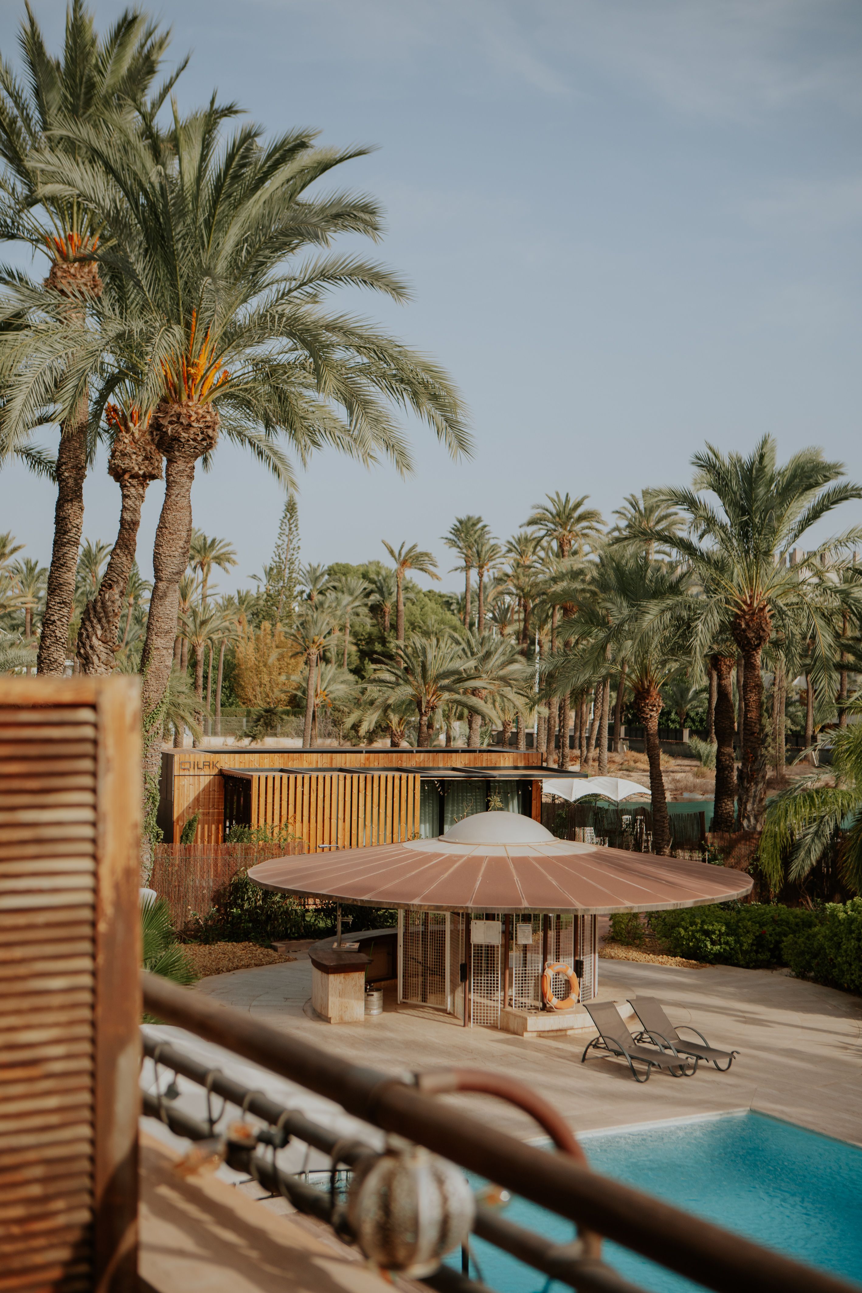 Hort de nal, Elche