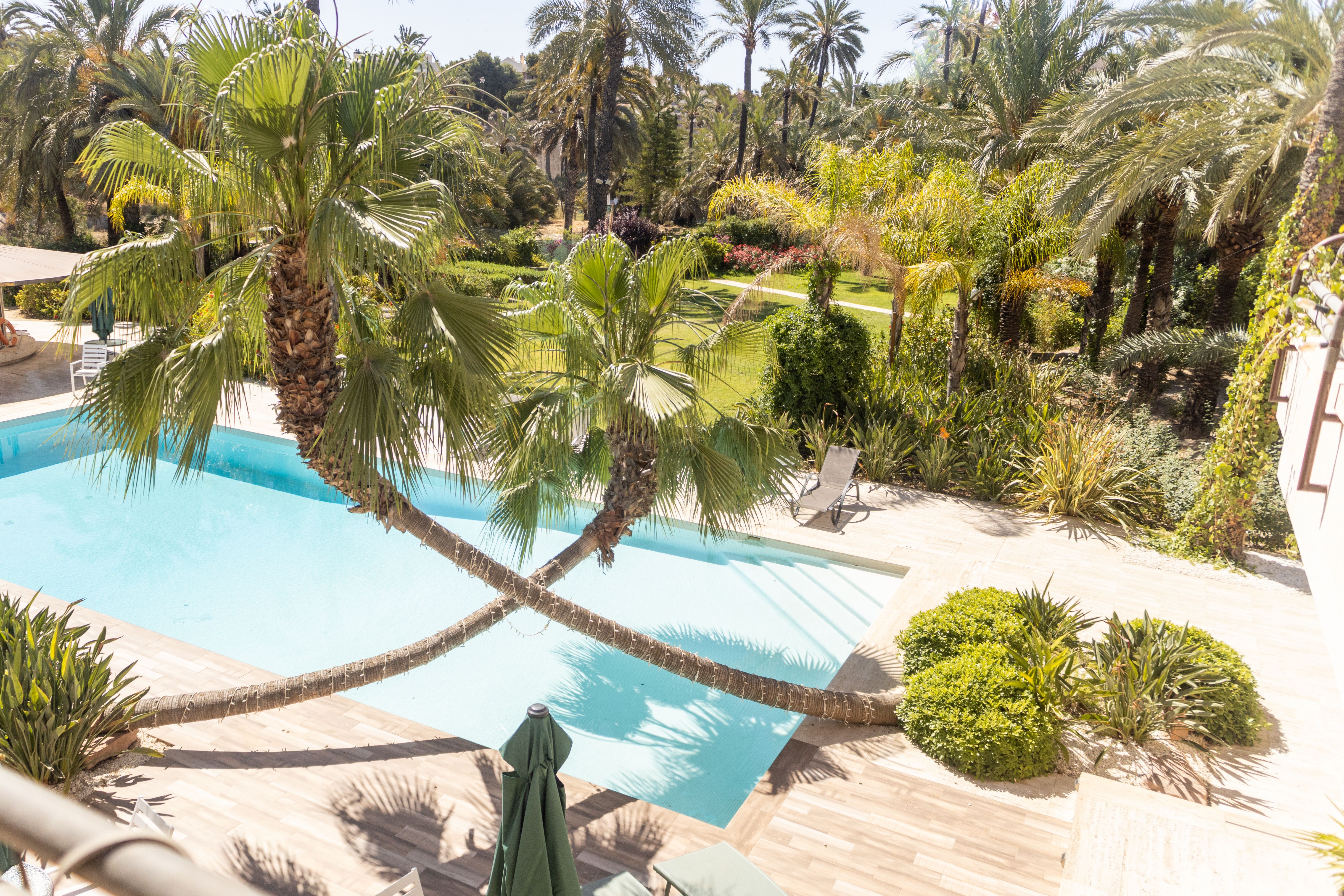 Hort de nal, Elche