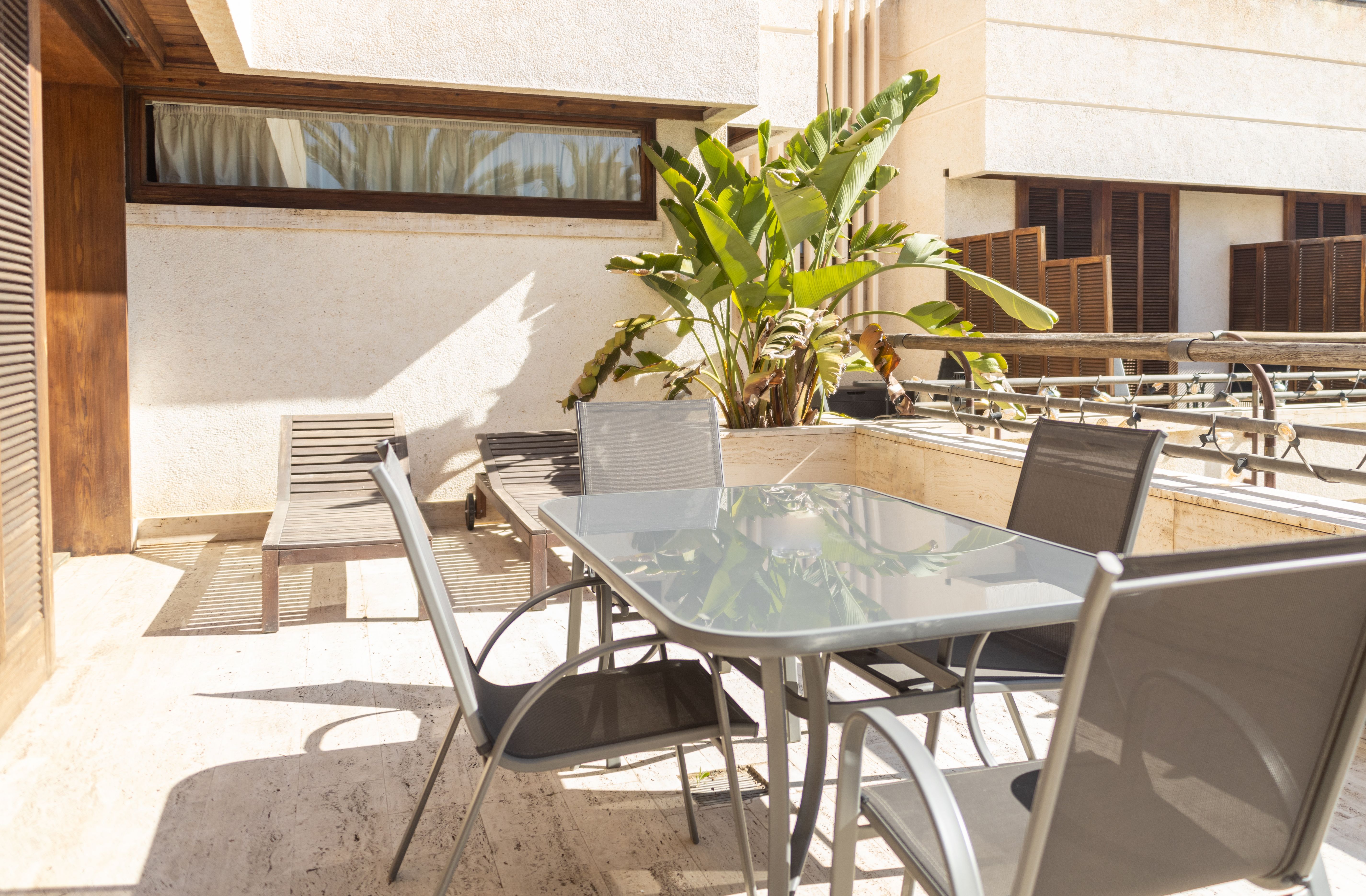 Hort de nal, Elche