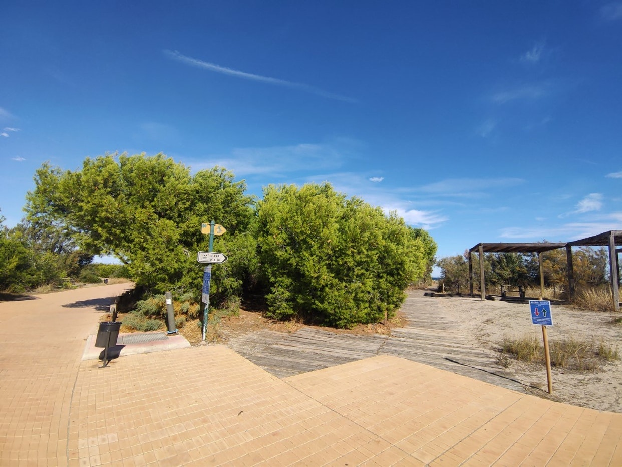 Camping valencia el saler, El Saler