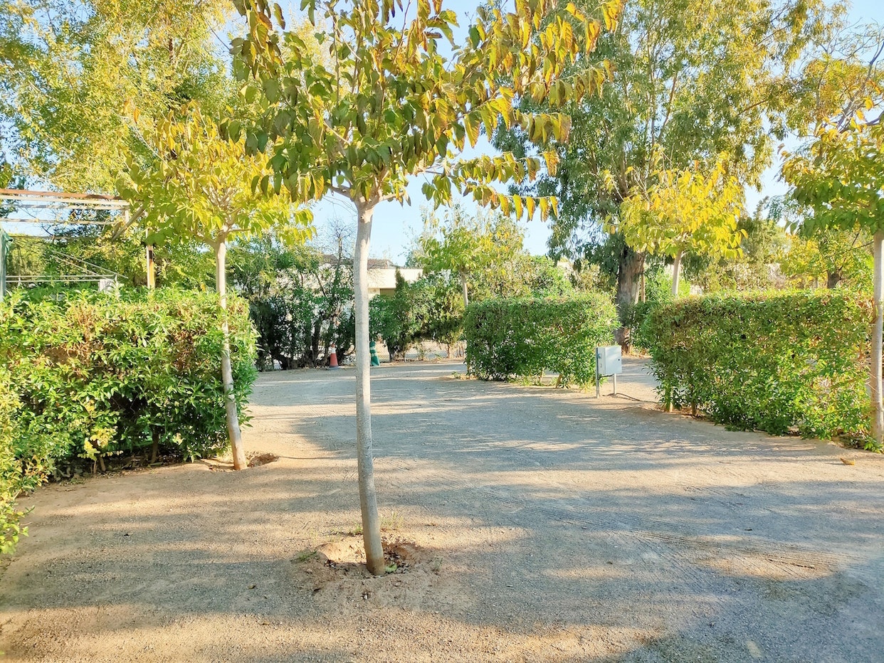 Camping valencia el saler, El Saler