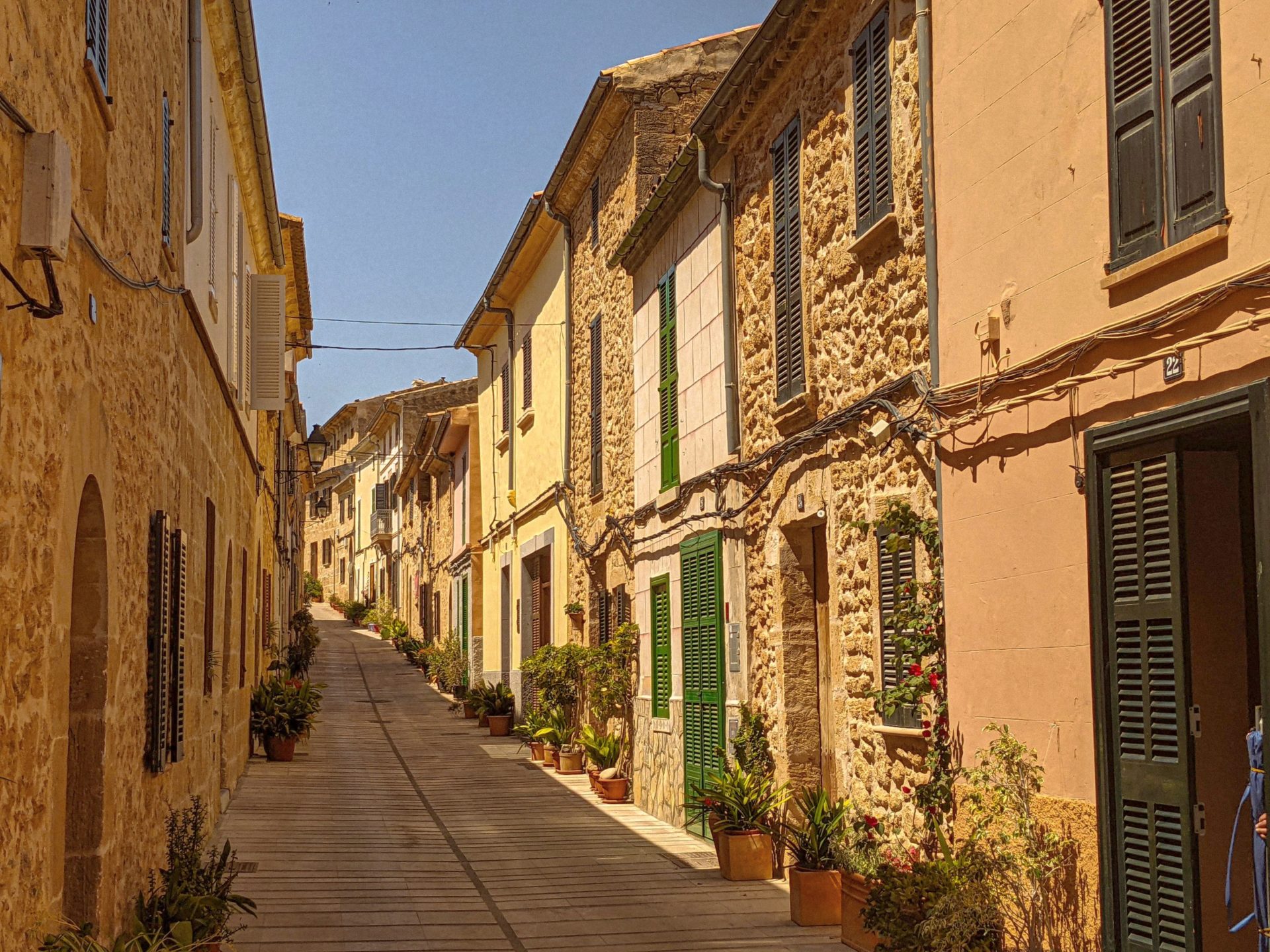Alcudia petit, Alcudia