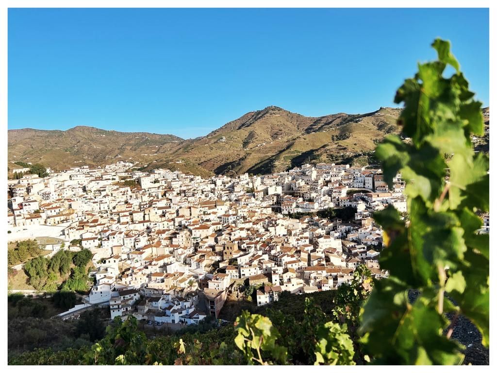 La lipa suites, Almachar