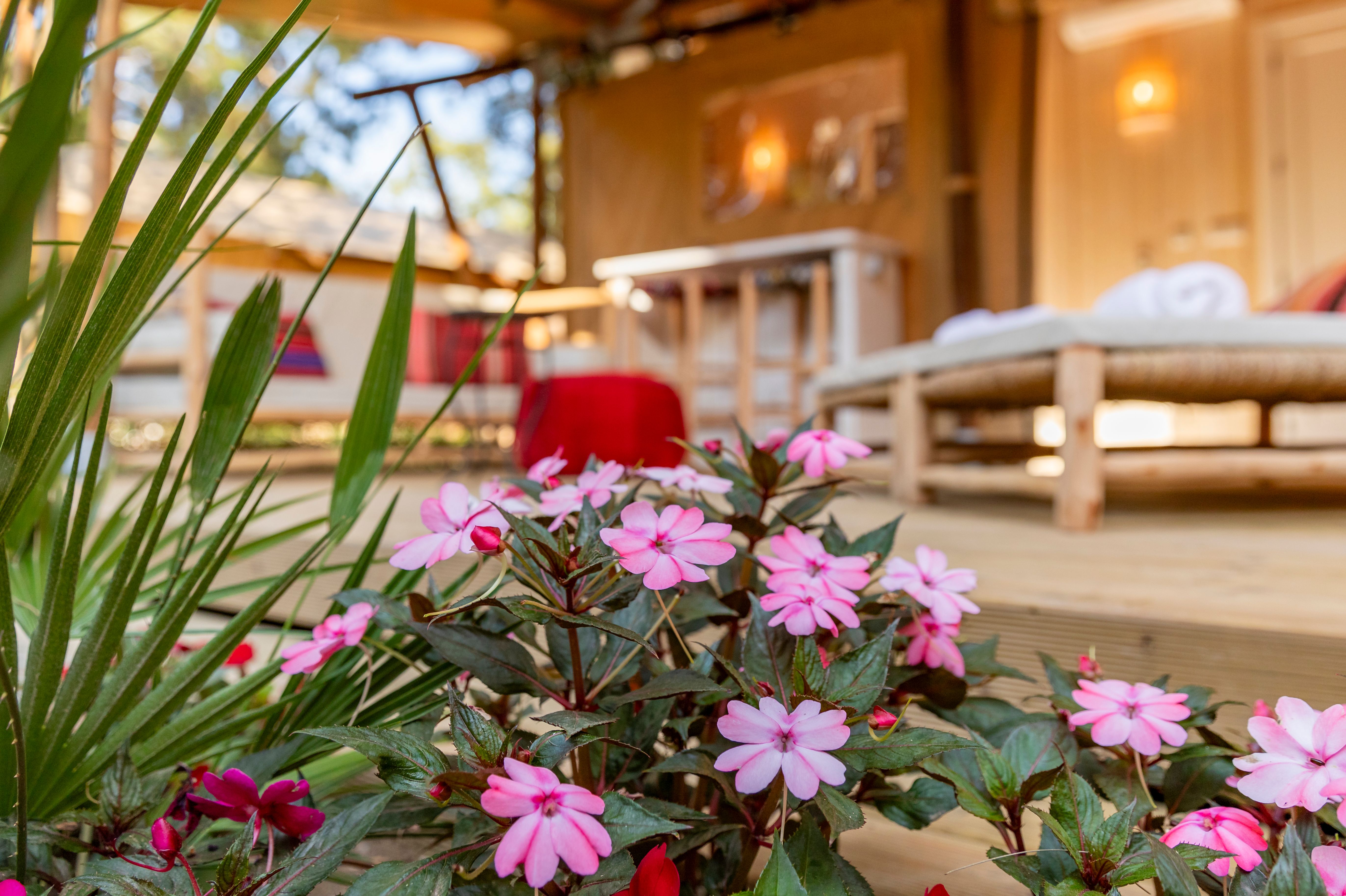 Dunas luxury beach resort tarifa, Valdevaqueros