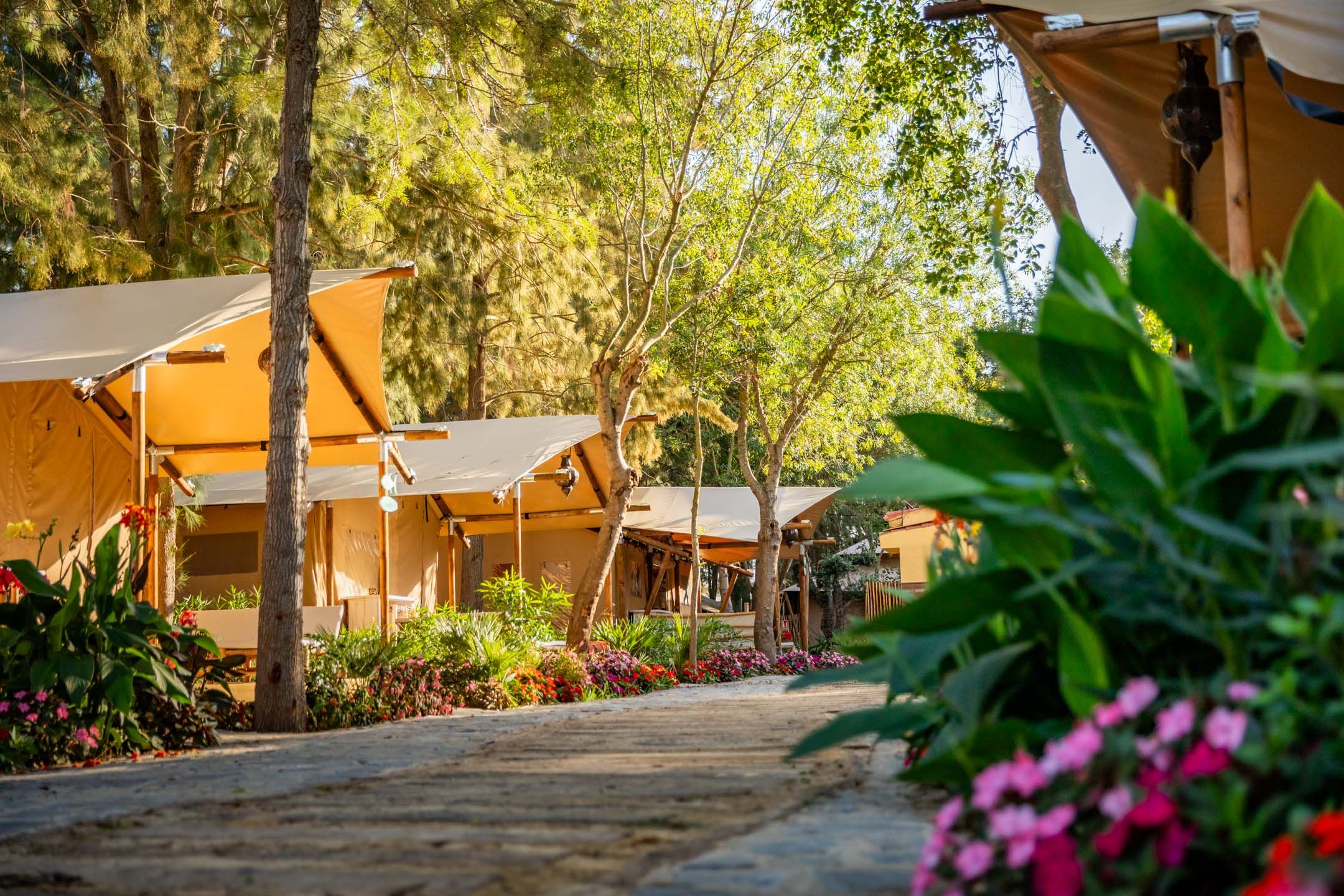 Dunas luxury beach resort tarifa, Valdevaqueros
