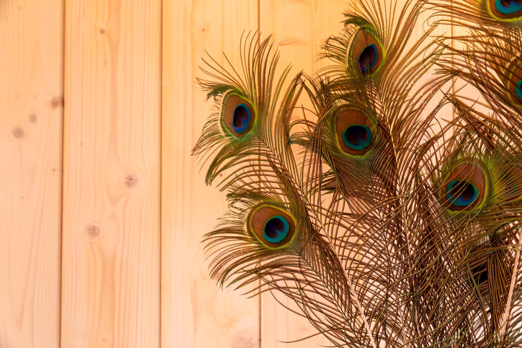 Dunas luxury beach resort tarifa, Valdevaqueros