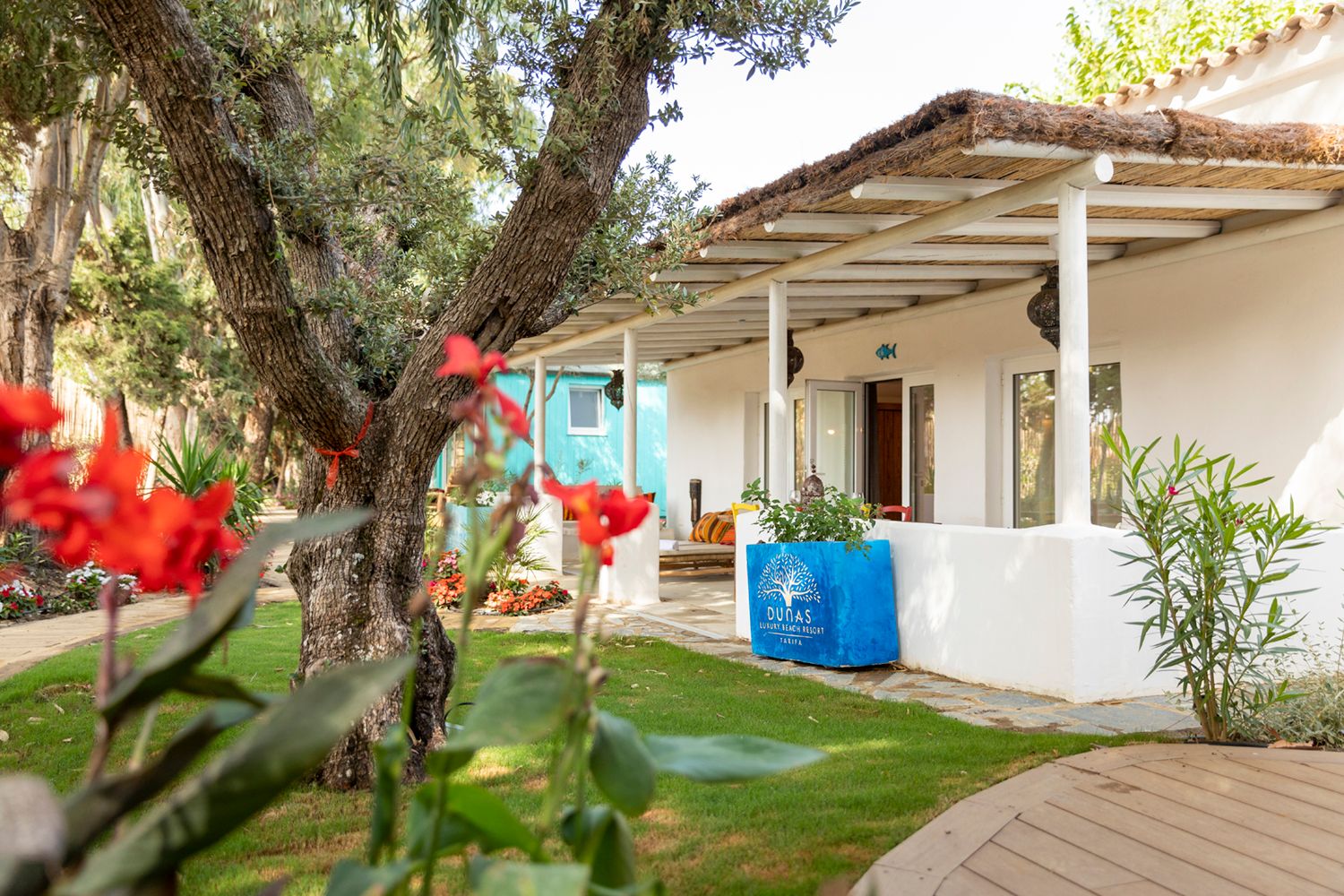 Dunas luxury beach resort tarifa, Valdevaqueros