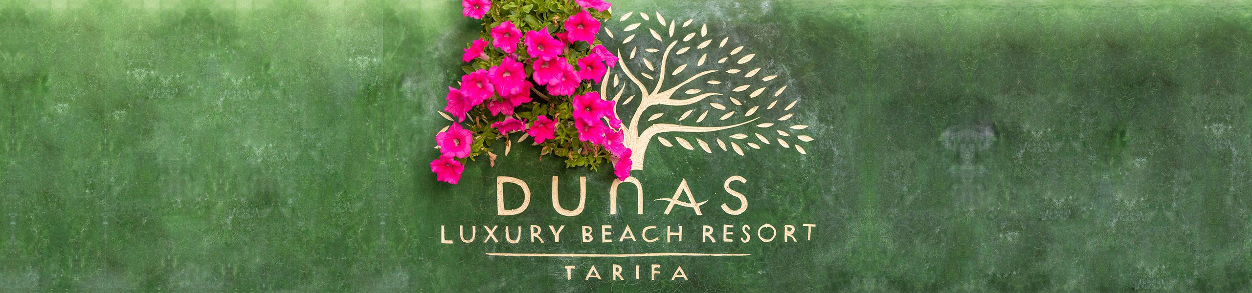 Dunas luxury beach resort tarifa, Valdevaqueros