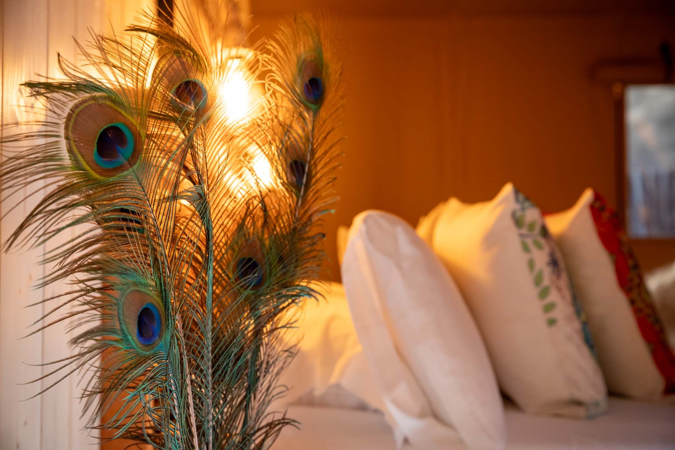 Dunas luxury beach resort tarifa, Valdevaqueros