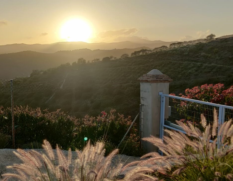 Finca sol y cielo 