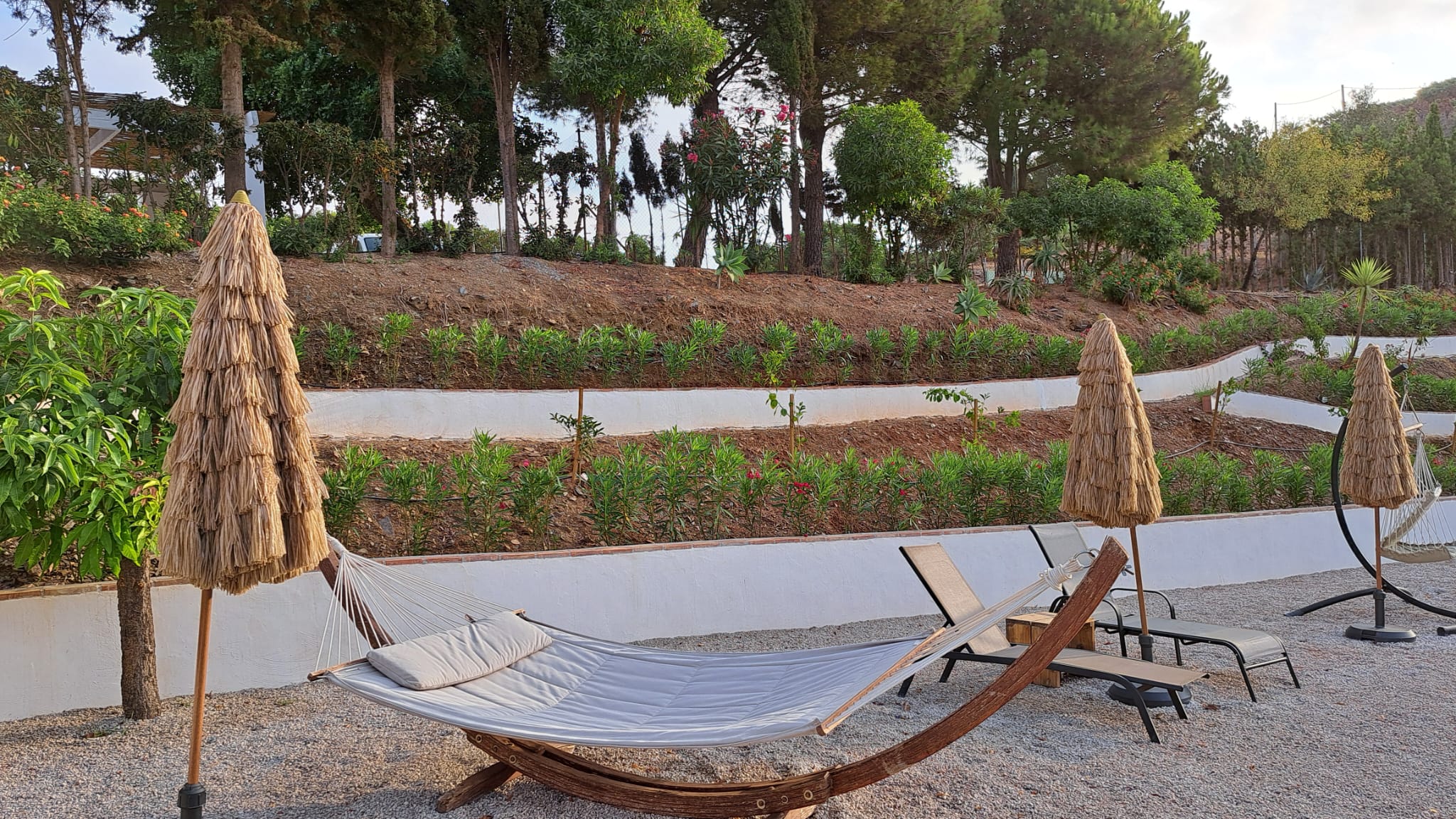 Finca sol y cielo, Cajiz - Vélez-Málaga