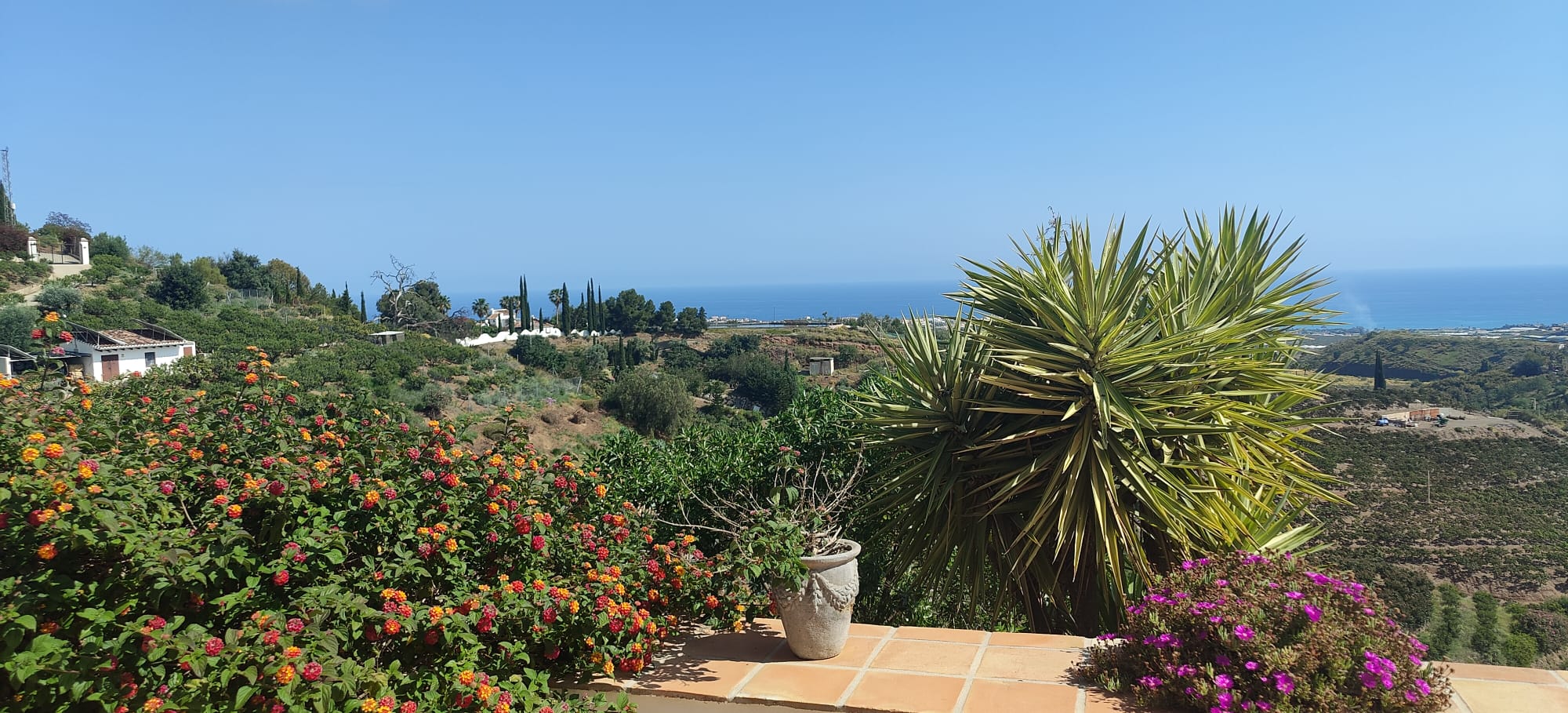 Finca sol y cielo, Cajiz - Vélez-Málaga