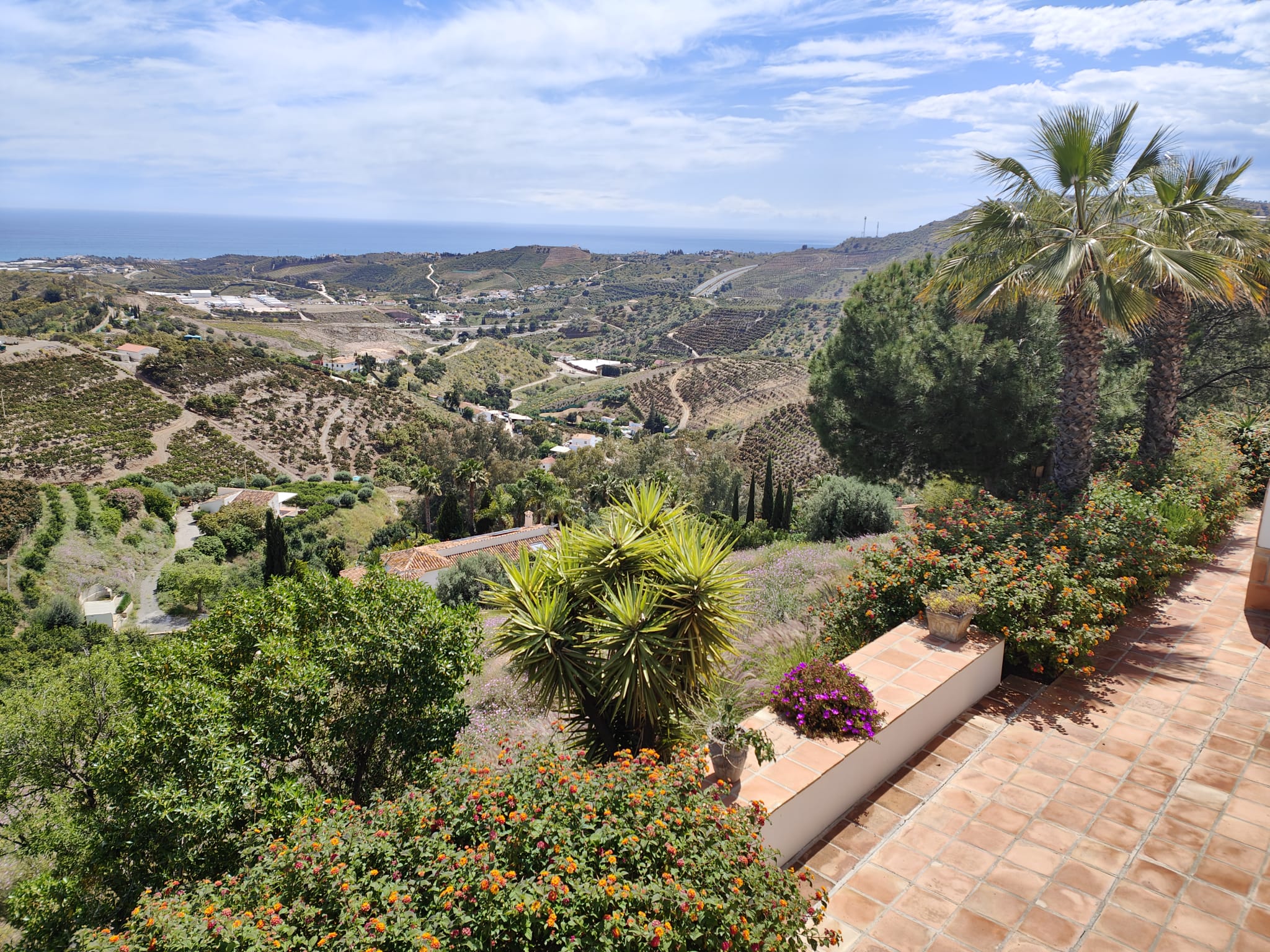 Finca sol y cielo, Cajiz - Vélez-Málaga