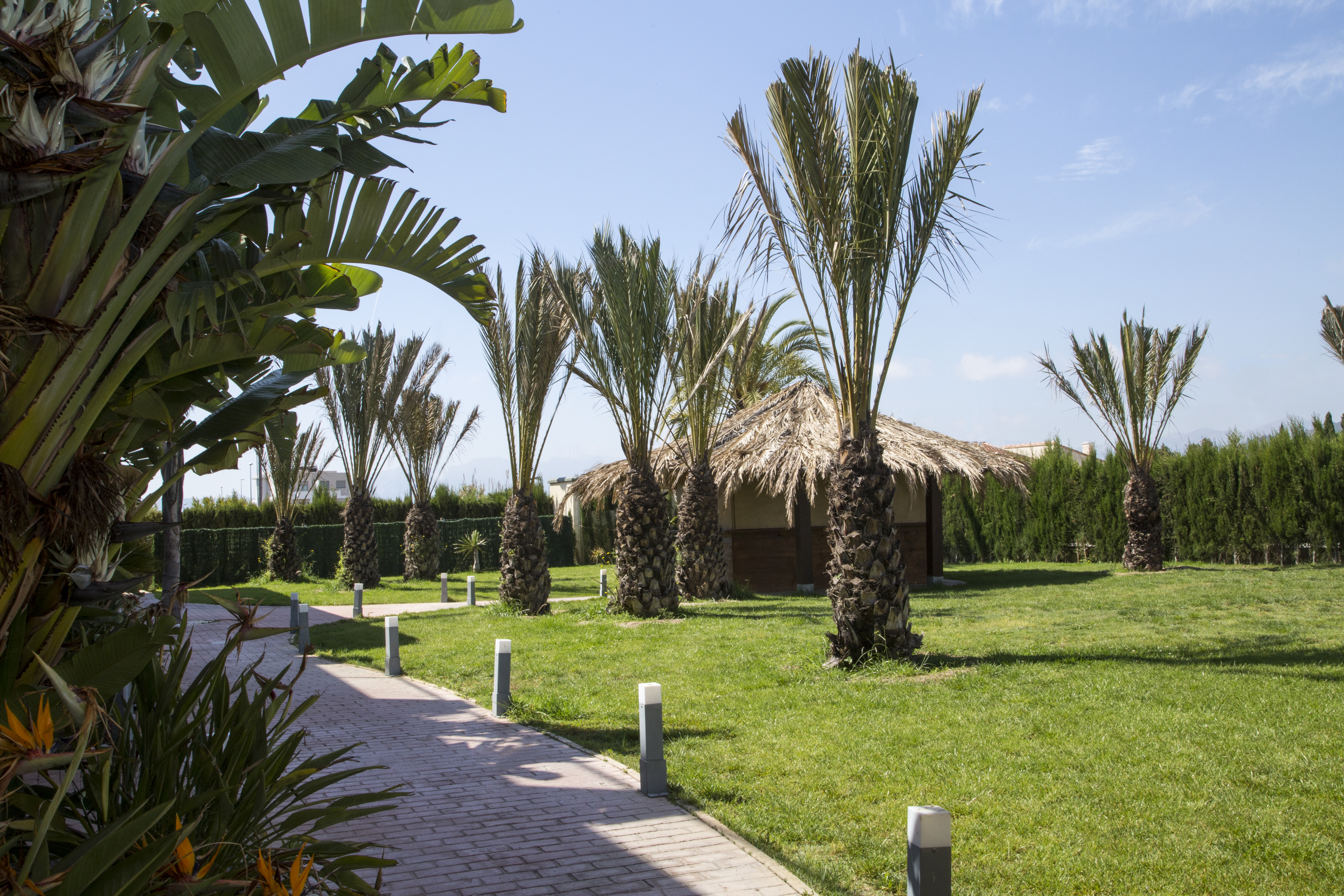 Aparthotel playa oliva 