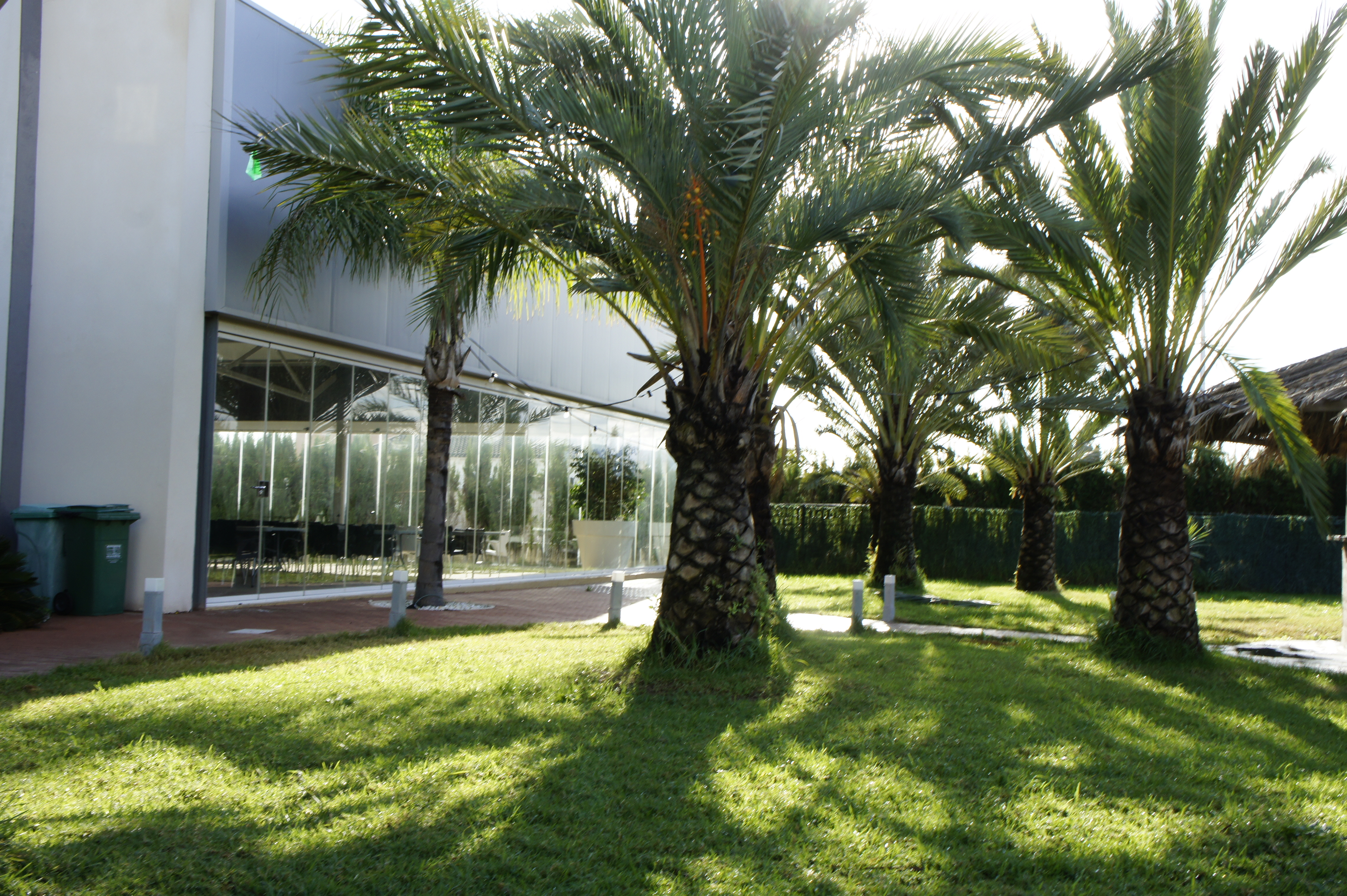 Aparthotel playa oliva, Oliva
