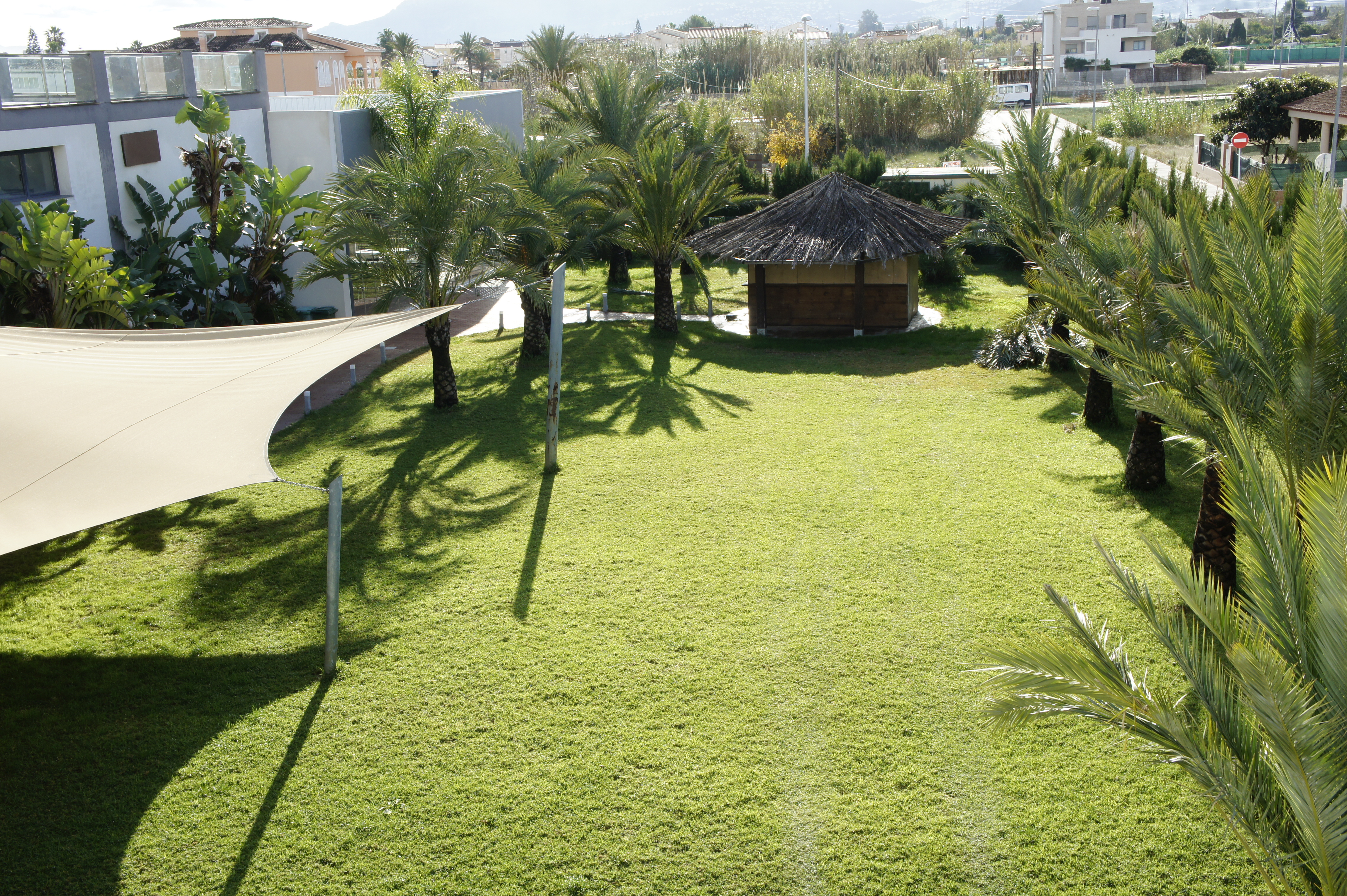 Aparthotel playa oliva, Oliva