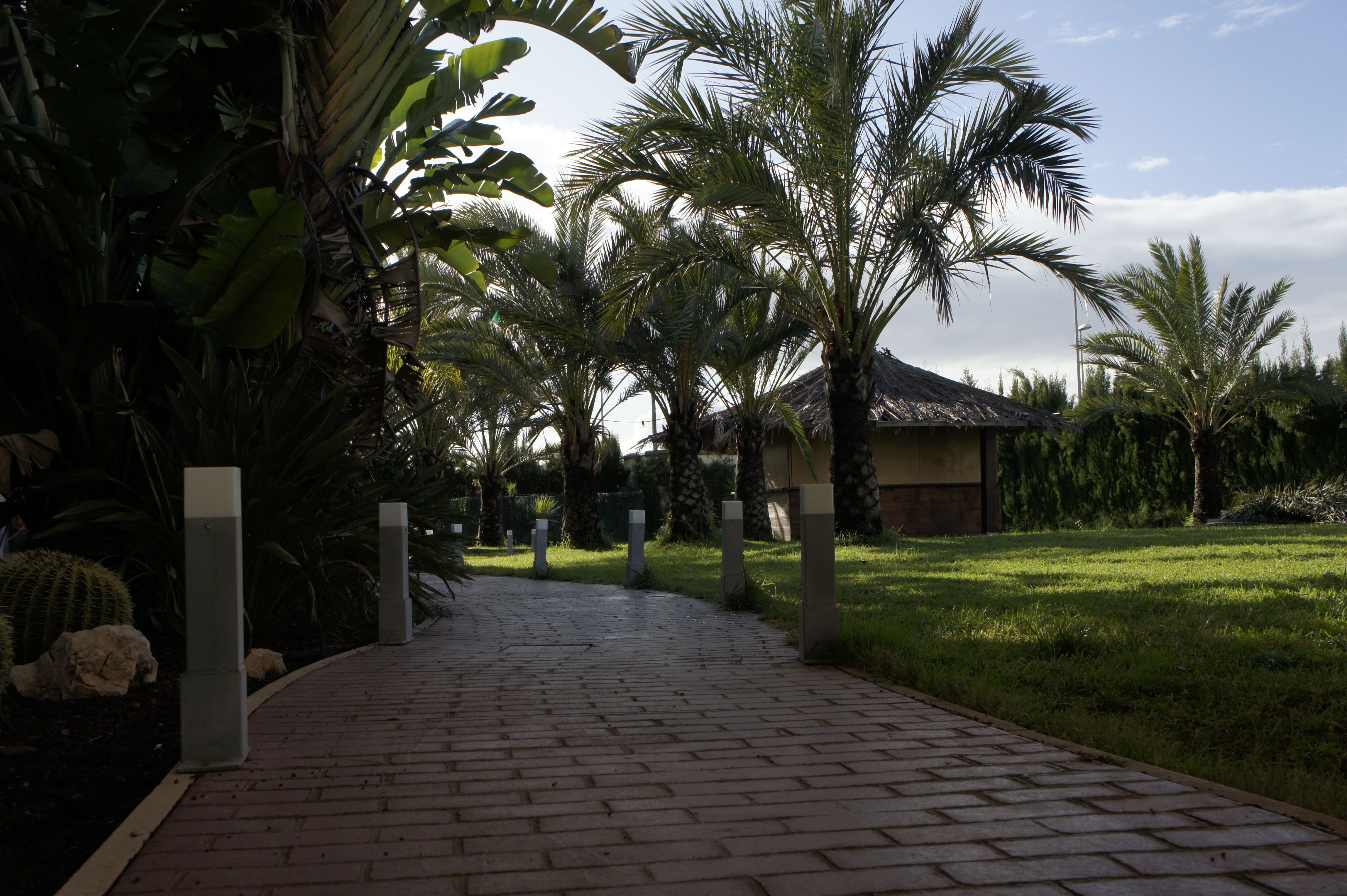 Aparthotel playa oliva 