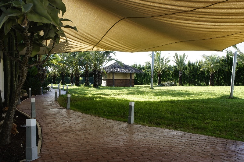 Aparthotel playa oliva, Oliva