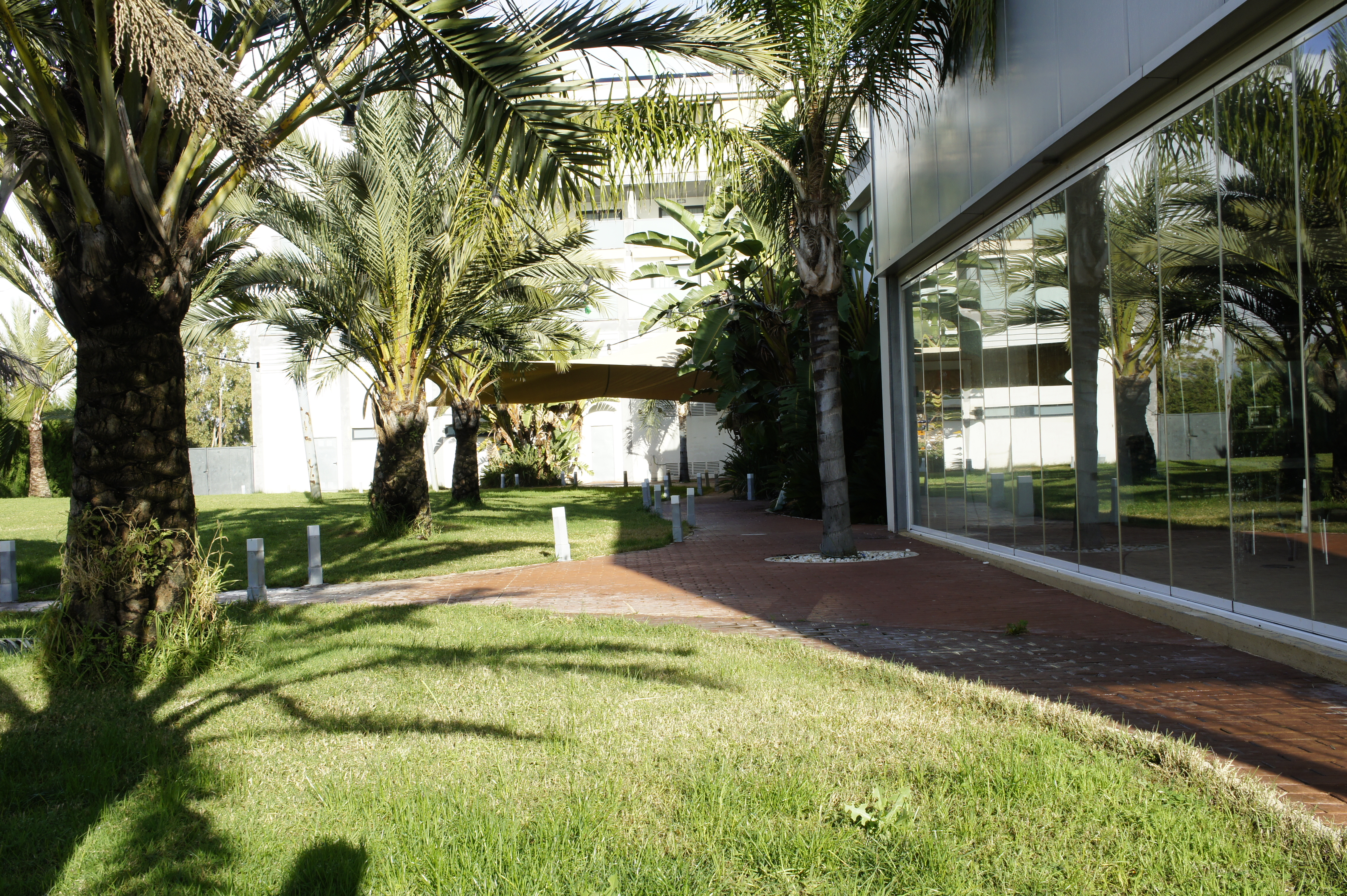Aparthotel playa oliva, Oliva
