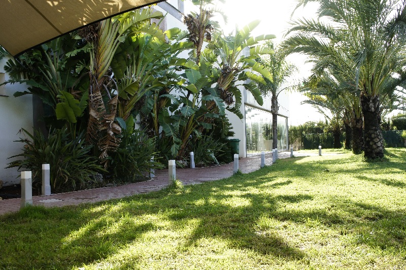 Aparthotel playa oliva 