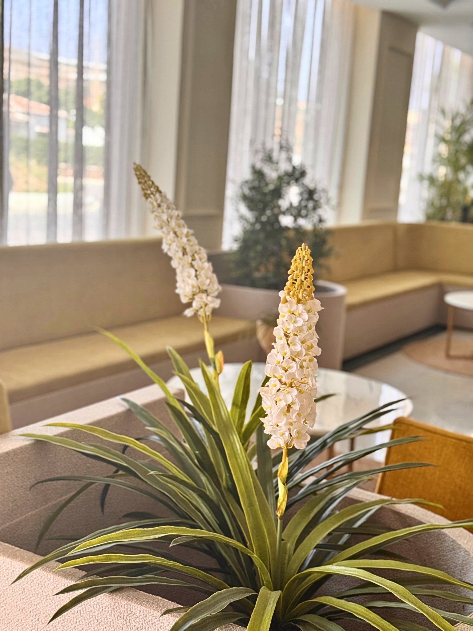 Hotel santa rosa, Torrox