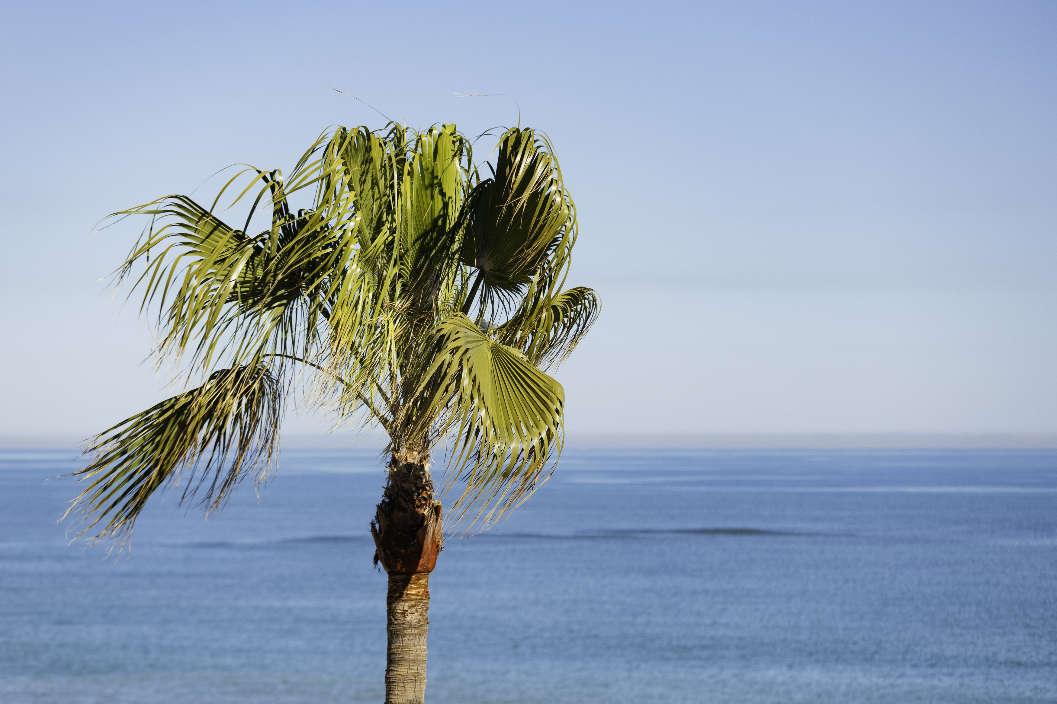 Hotel los angeles denia, Denia