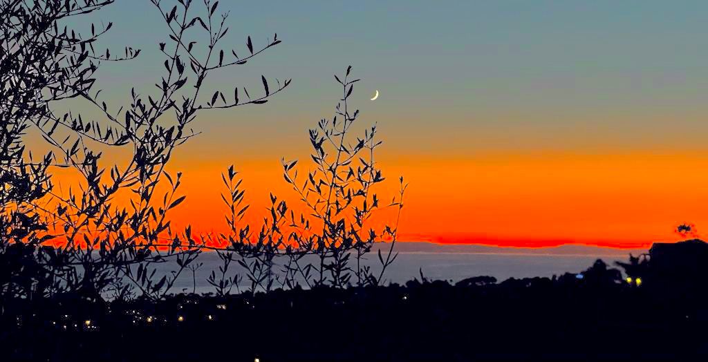 Marbella boutique art suites , Marbella