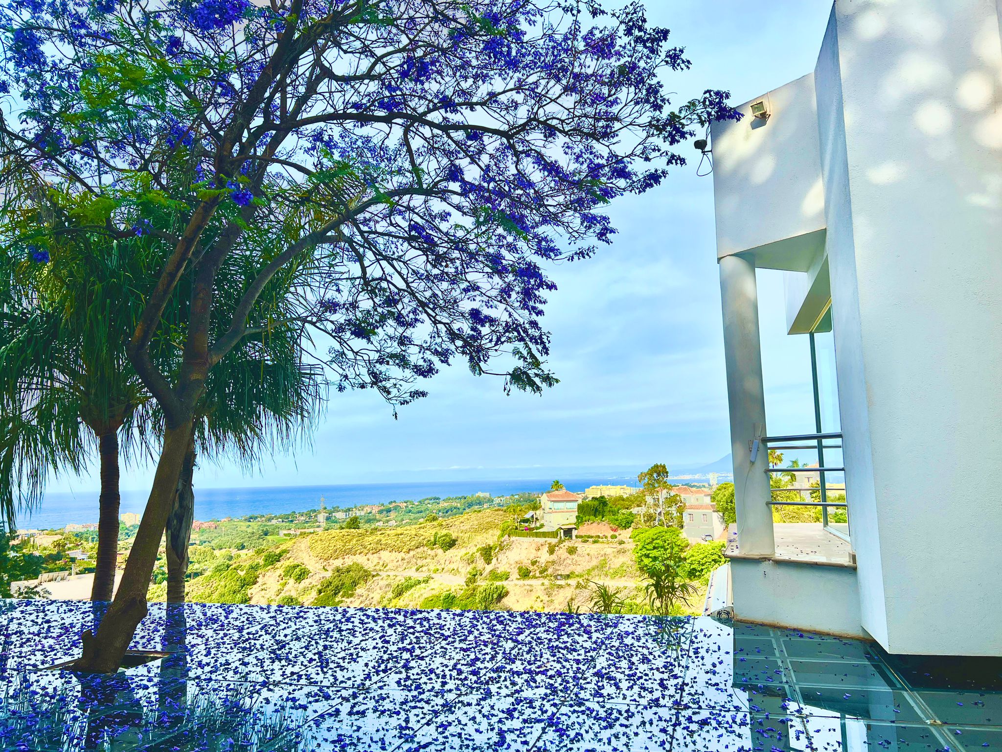 Marbella boutique art suites 