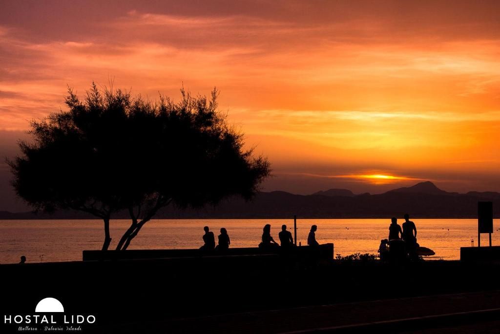 Sb arenal, Playa de Palma