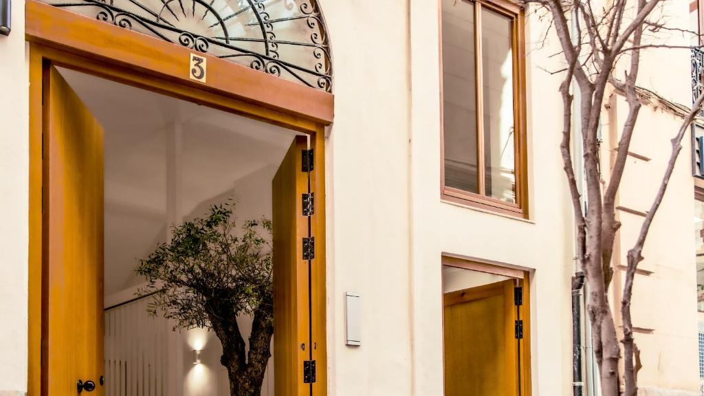 Catalina suites apartments downtown 
