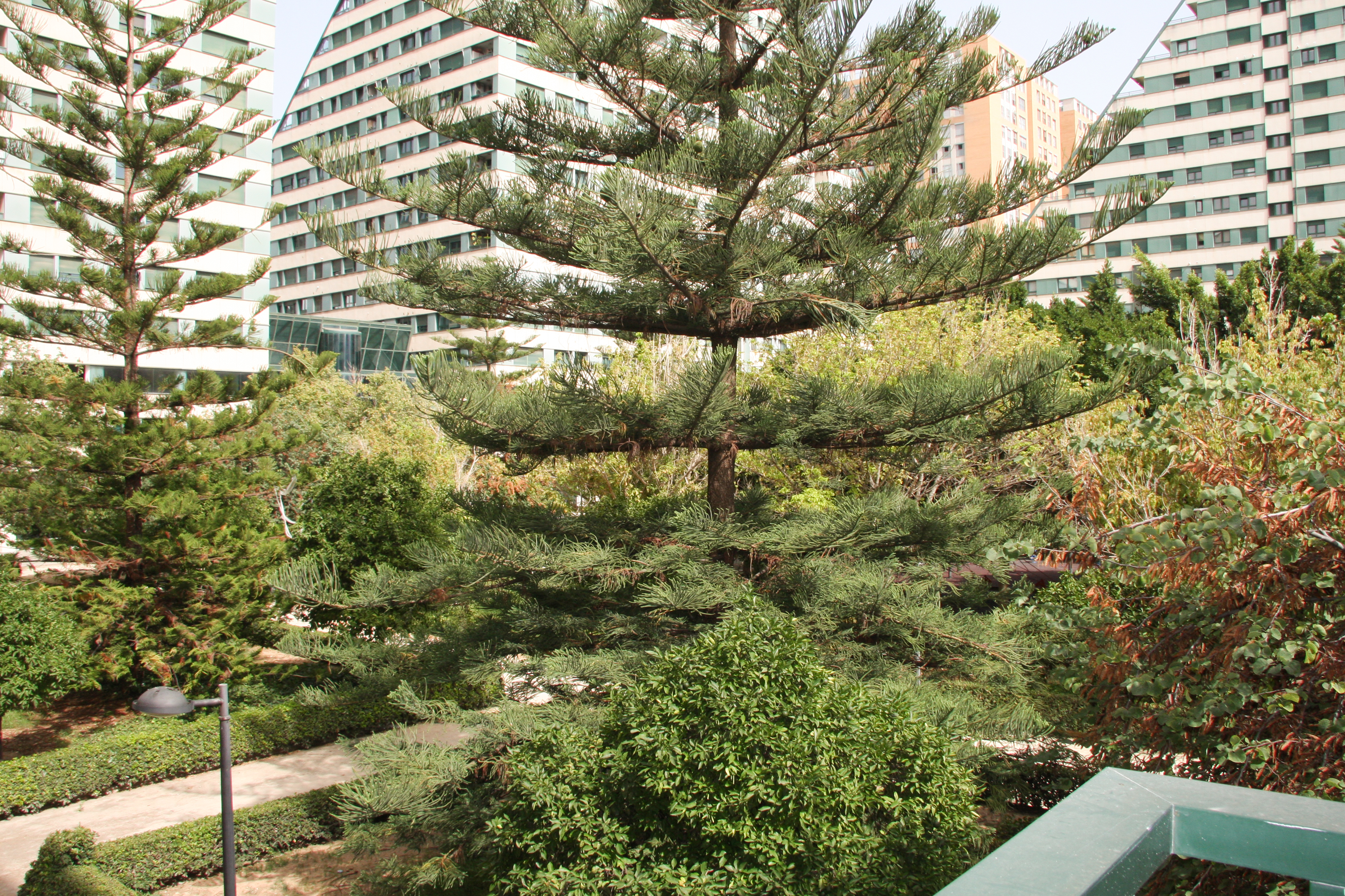 Apartment mit 1 schlafzimmer und balkon