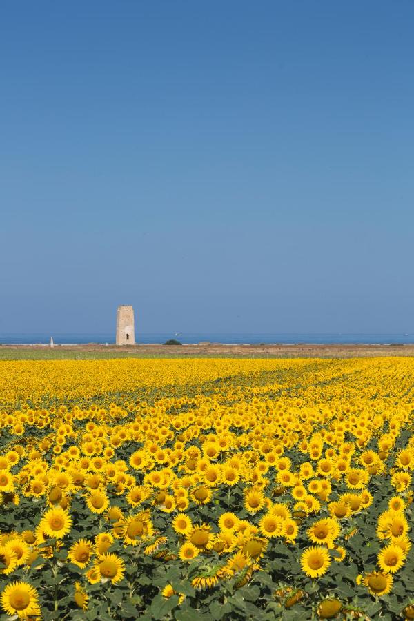 La floristería zahora, Zahora