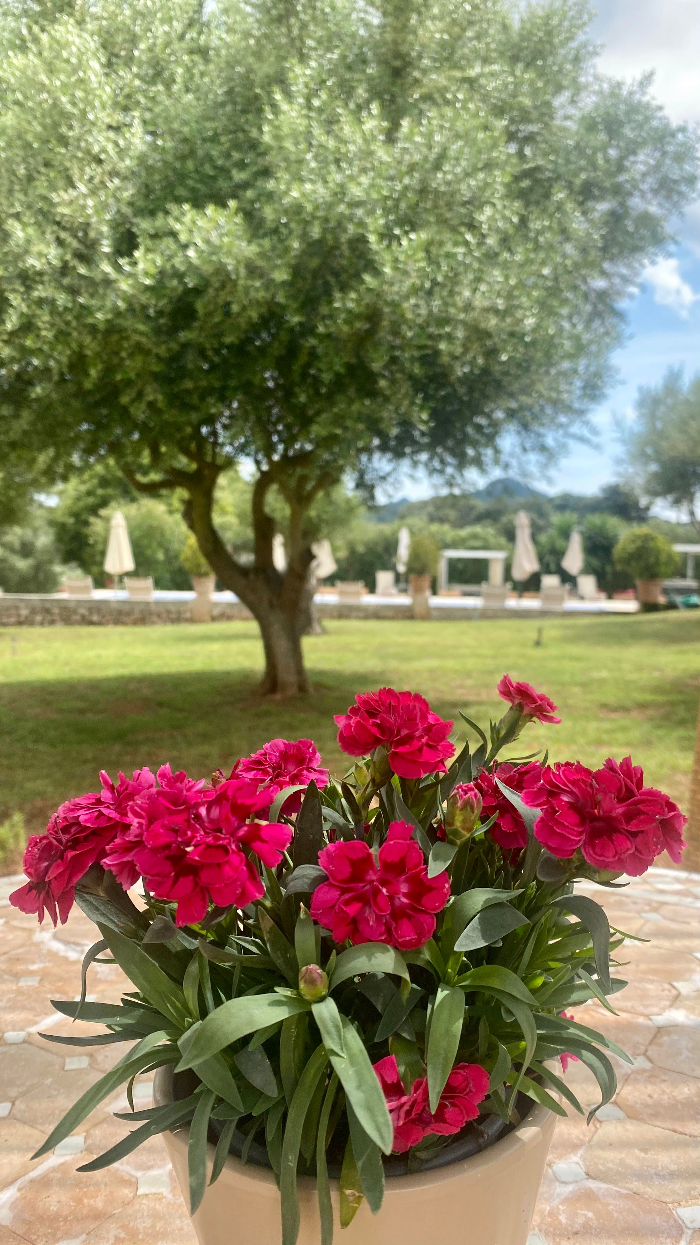 Agroturismo son cardaix, Mallorca