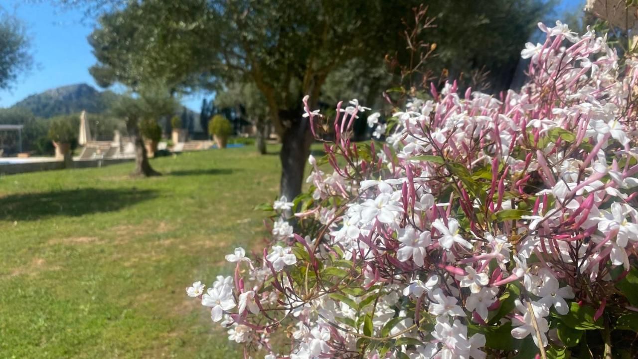 Agroturismo son cardaix, Mallorca