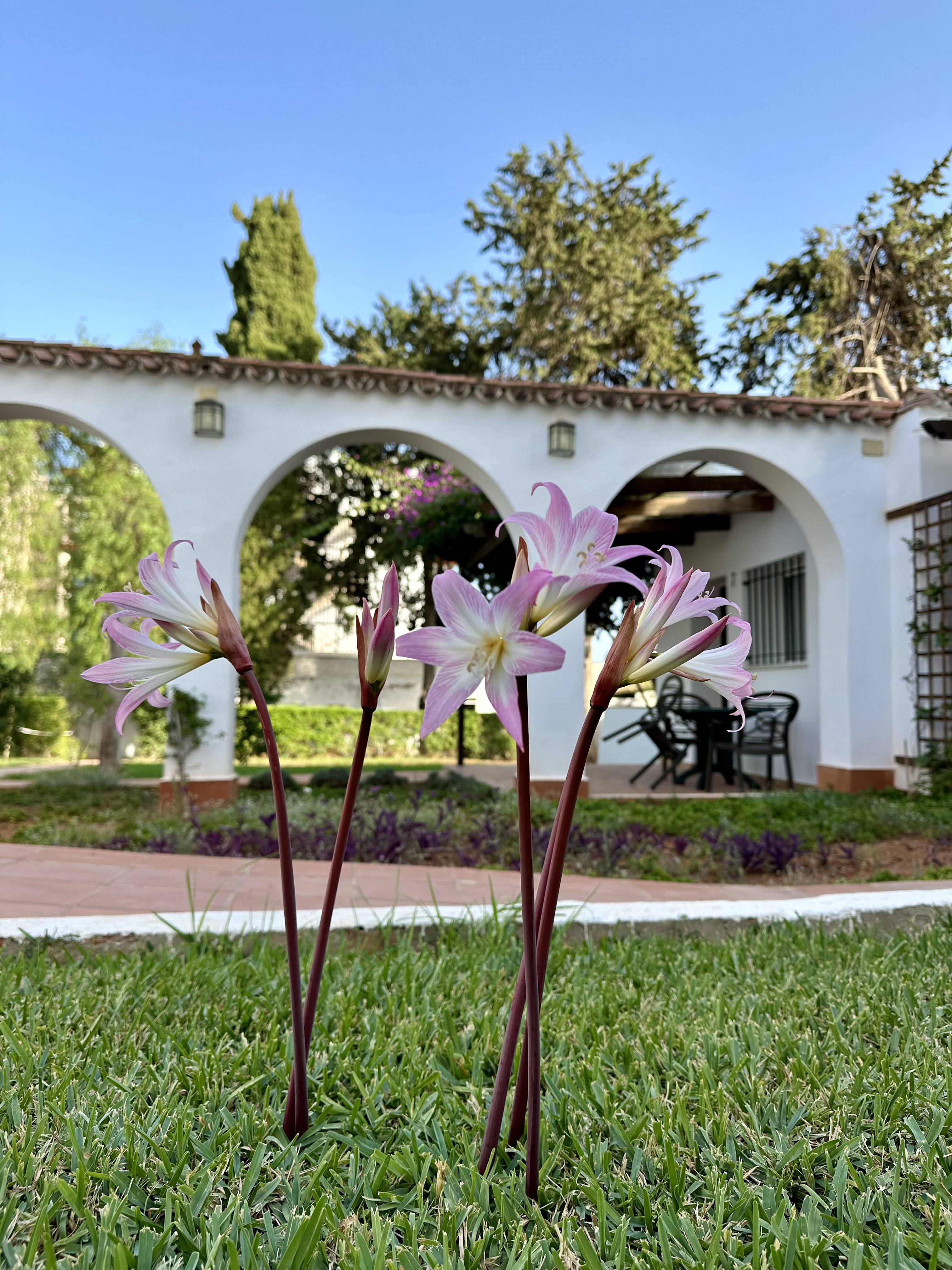 Apartamentos la paloma, Torremolinos