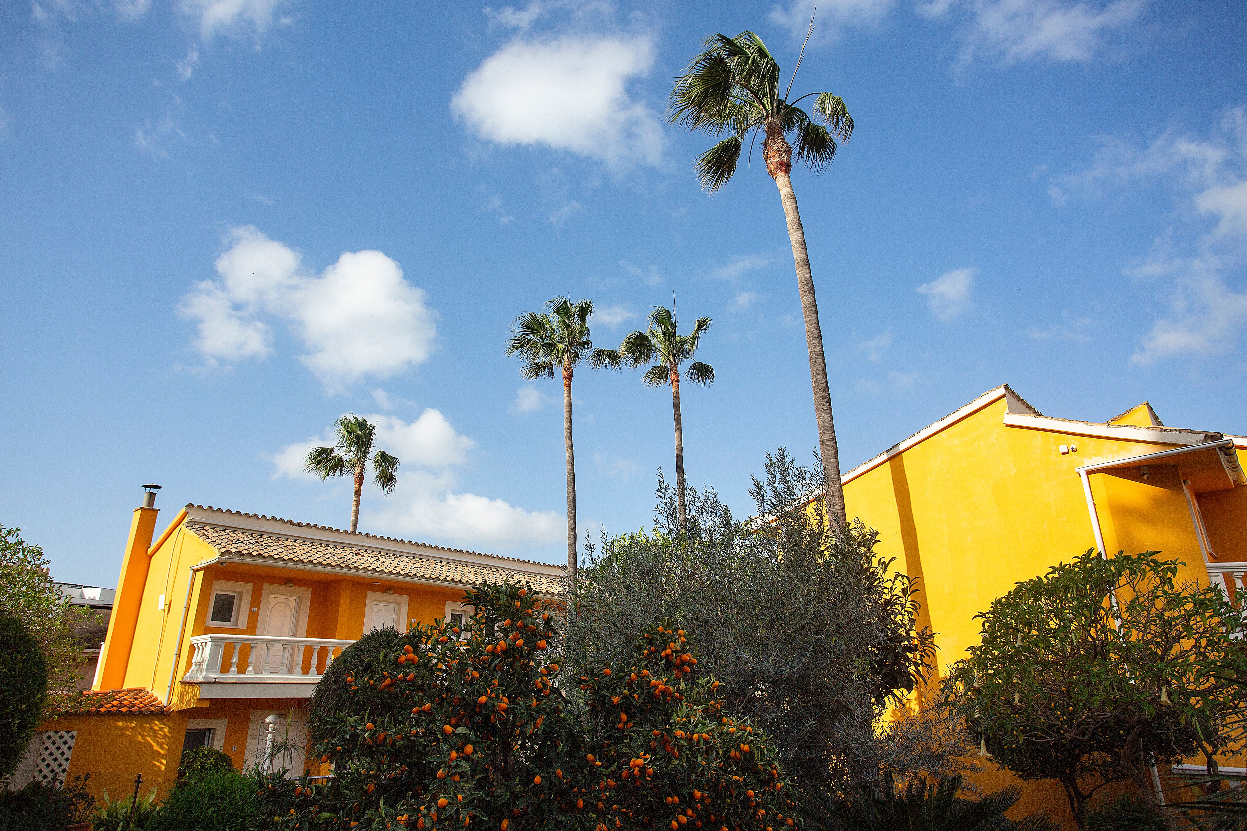 Hotel cupidor, Mallorca