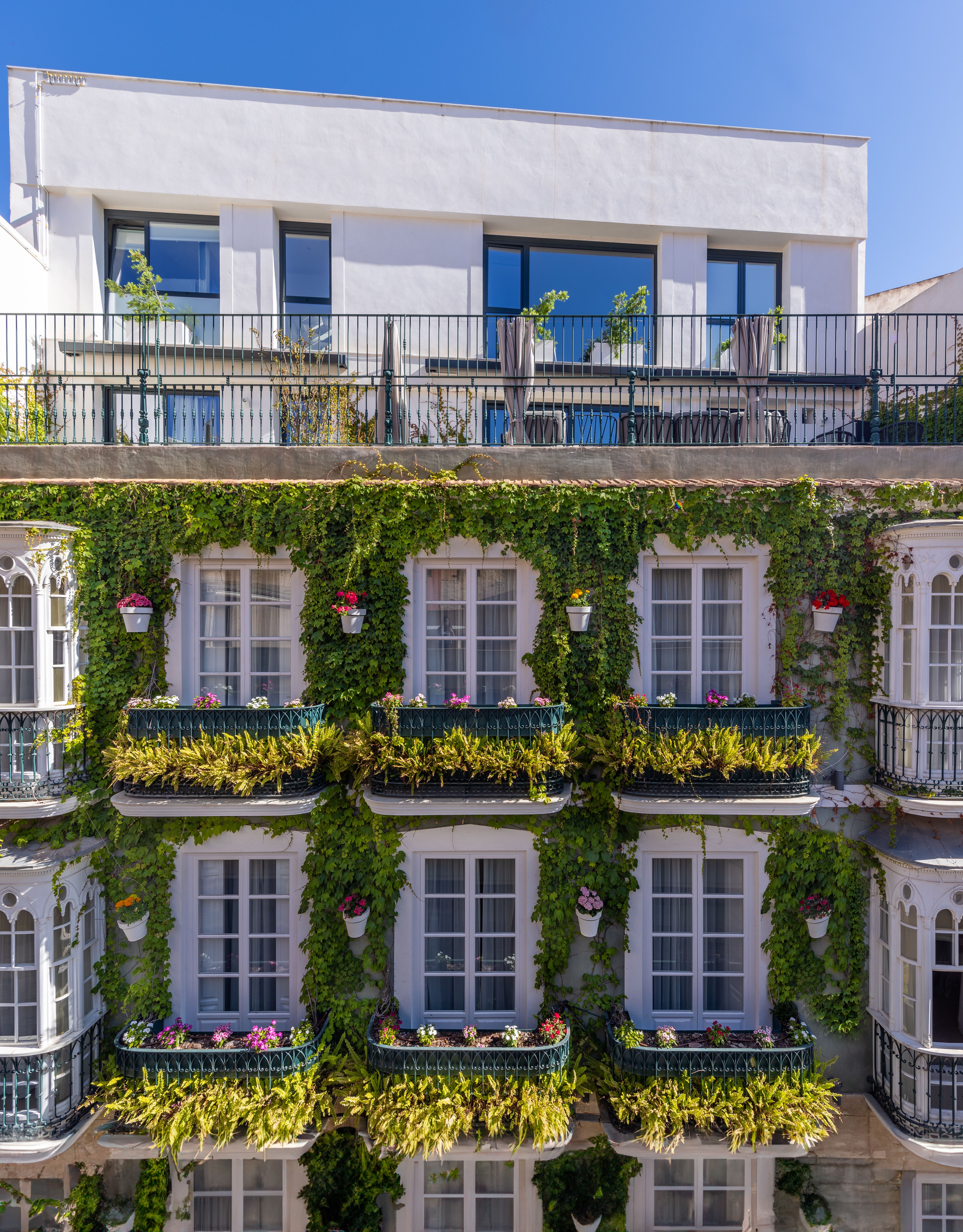 La casa de las flores, Cartagena