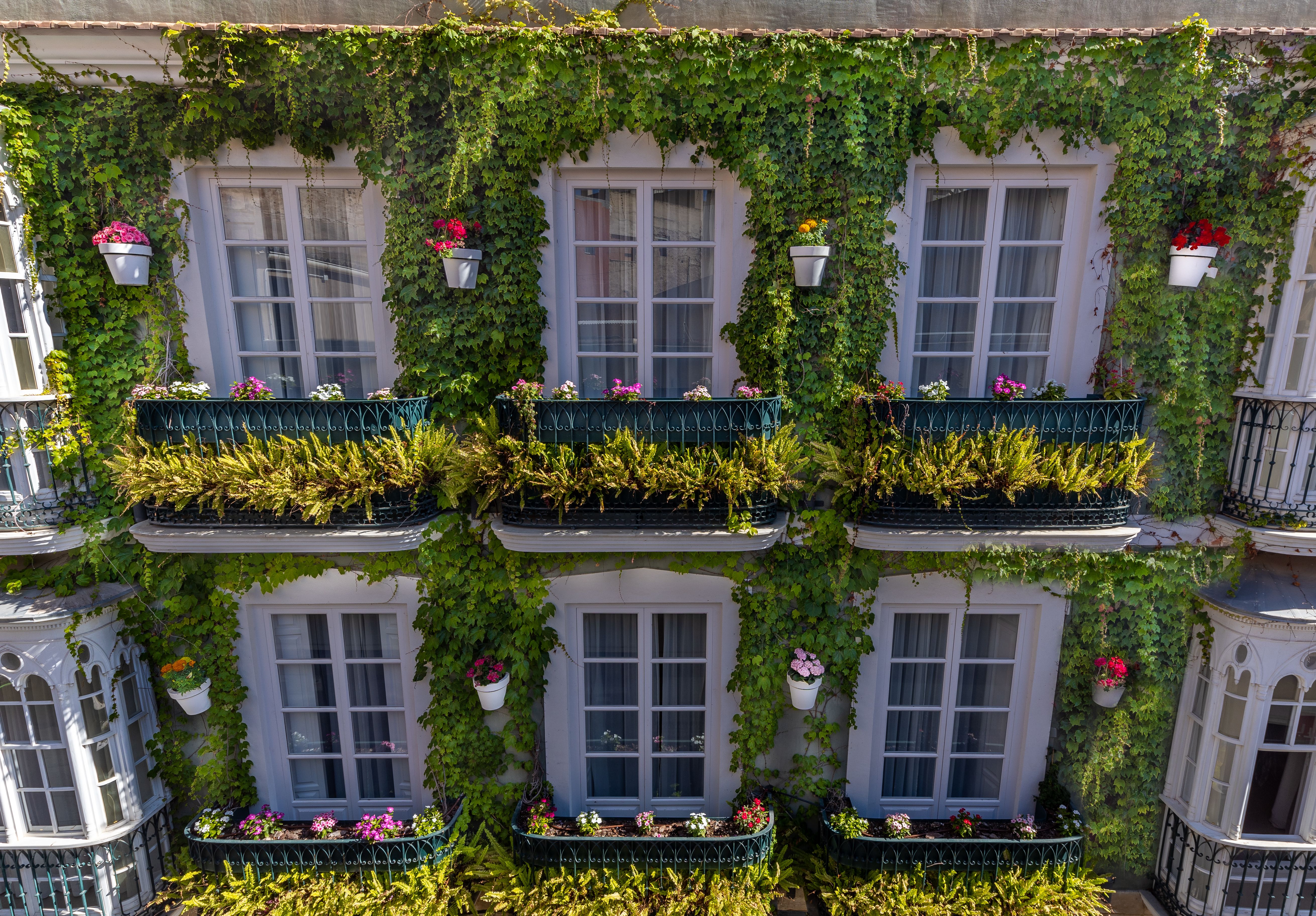 La casa de las flores, Cartagena