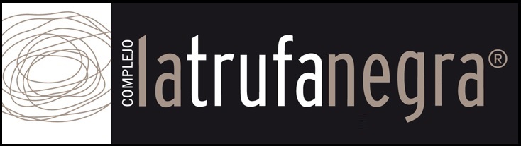Hotel la trufa negra, Mora de Rubielos