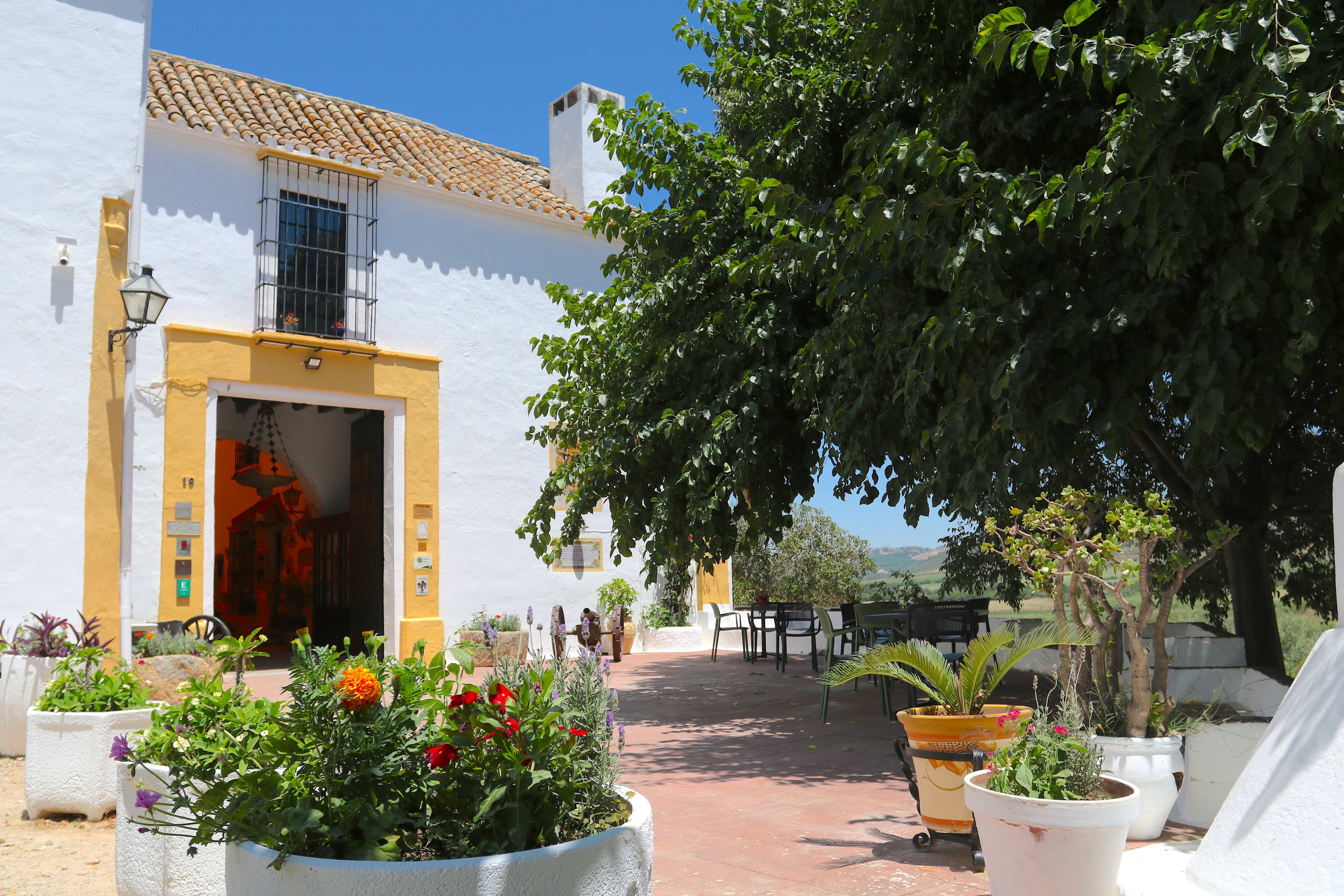 Hacienda el santiscal, El Santiscal