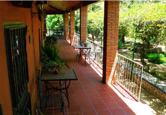 Cortijo zalamea sl 