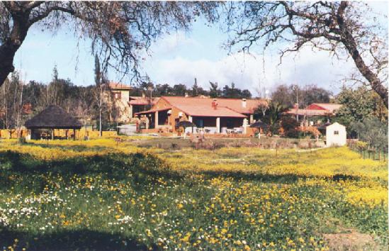 Cortijo zalamea sl 