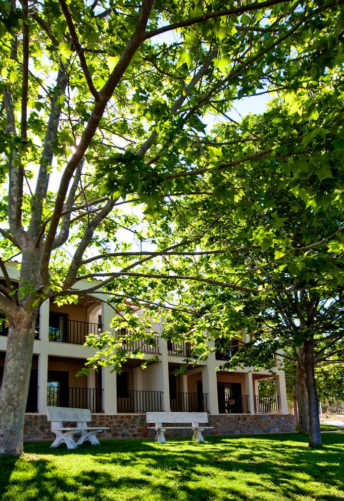 La coma green, Castelló de la Plana